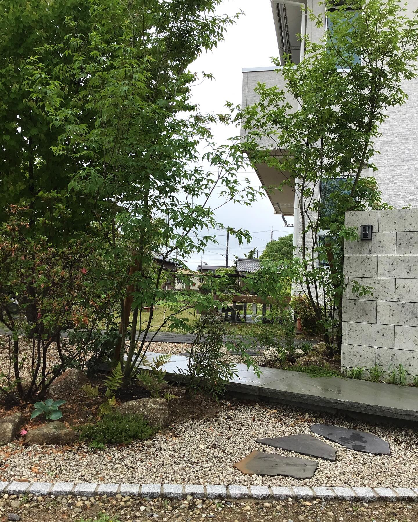 桜が舞い散り、