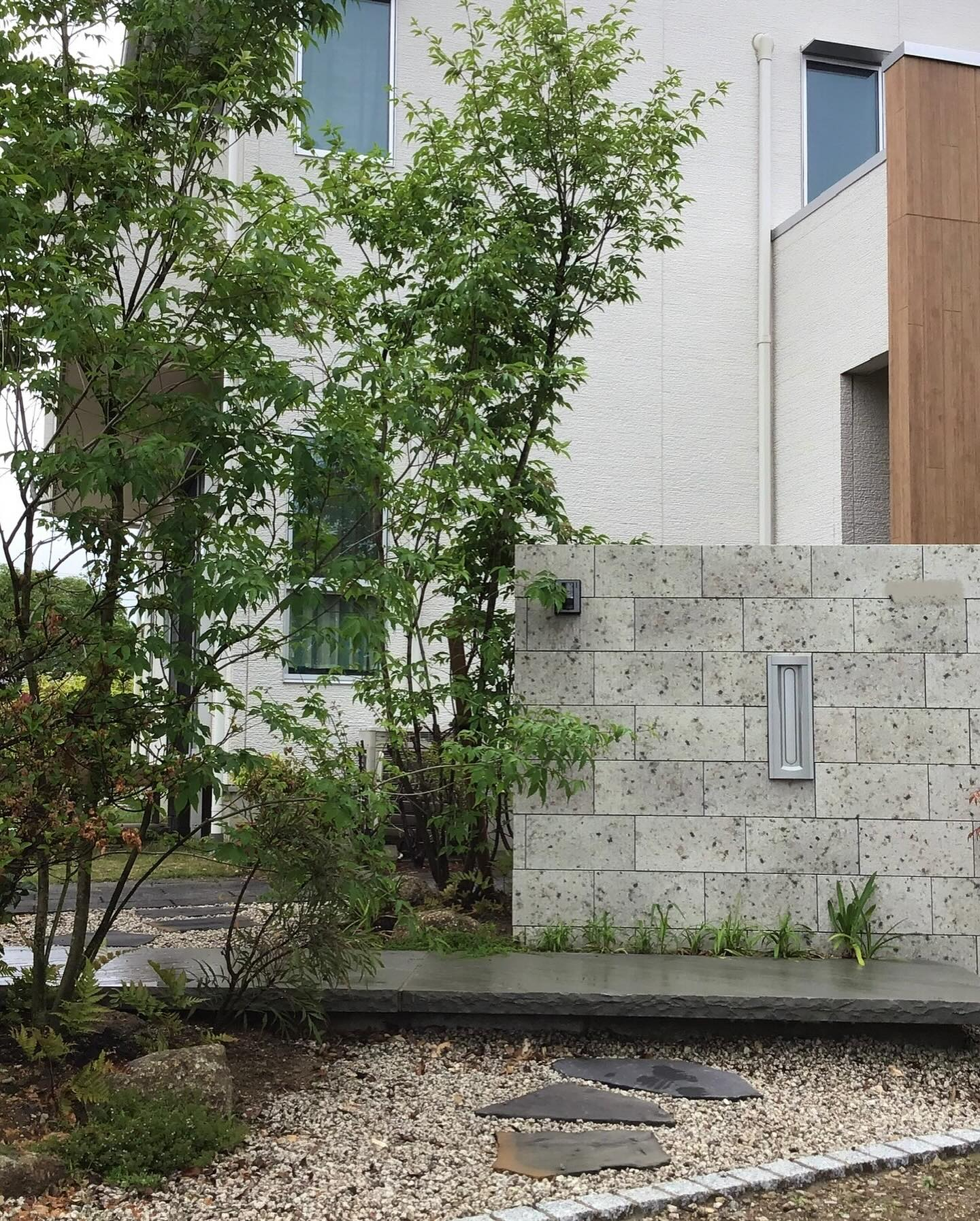 桜が舞い散り、