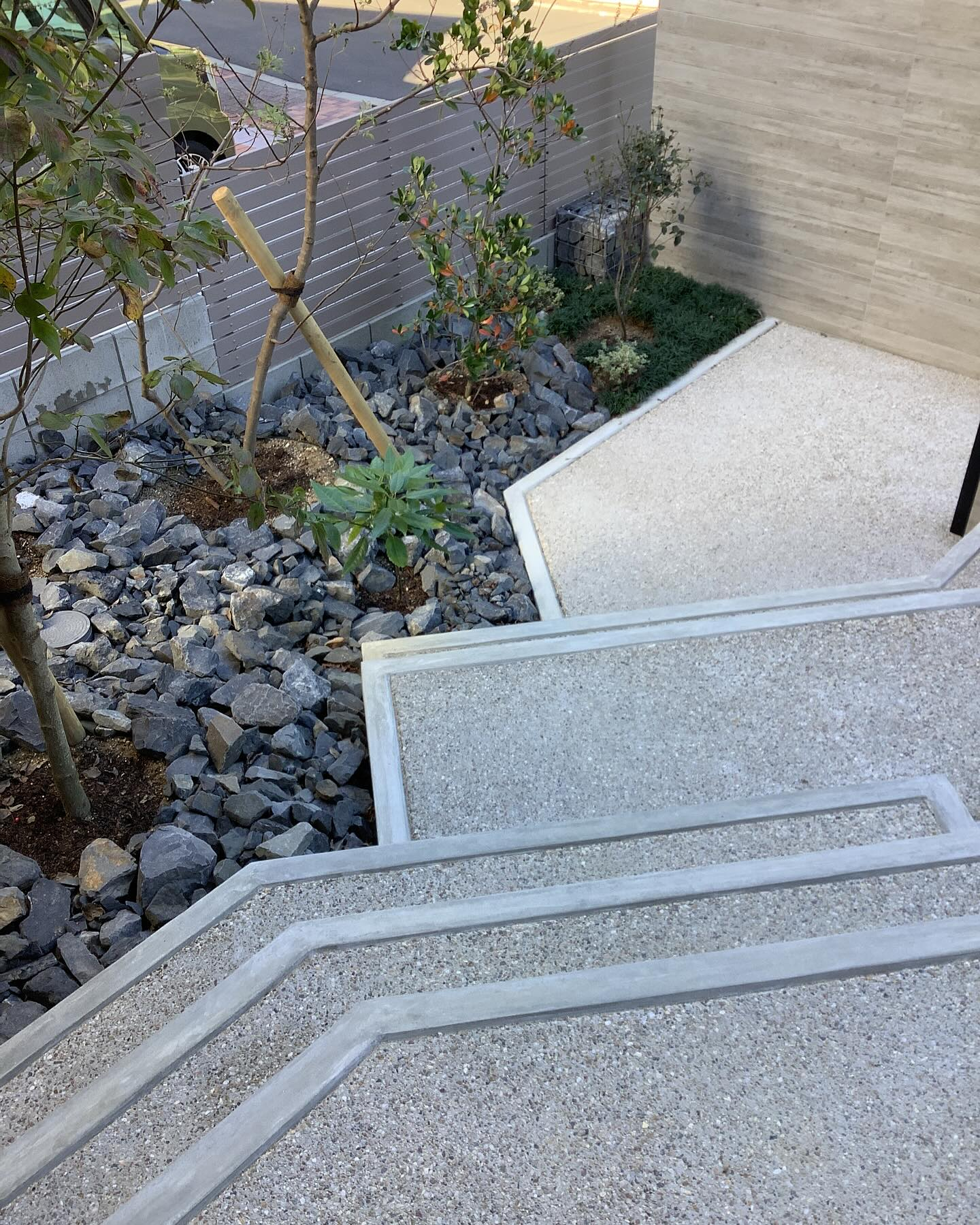 階段に座って樹木を眺めるのも良いですね