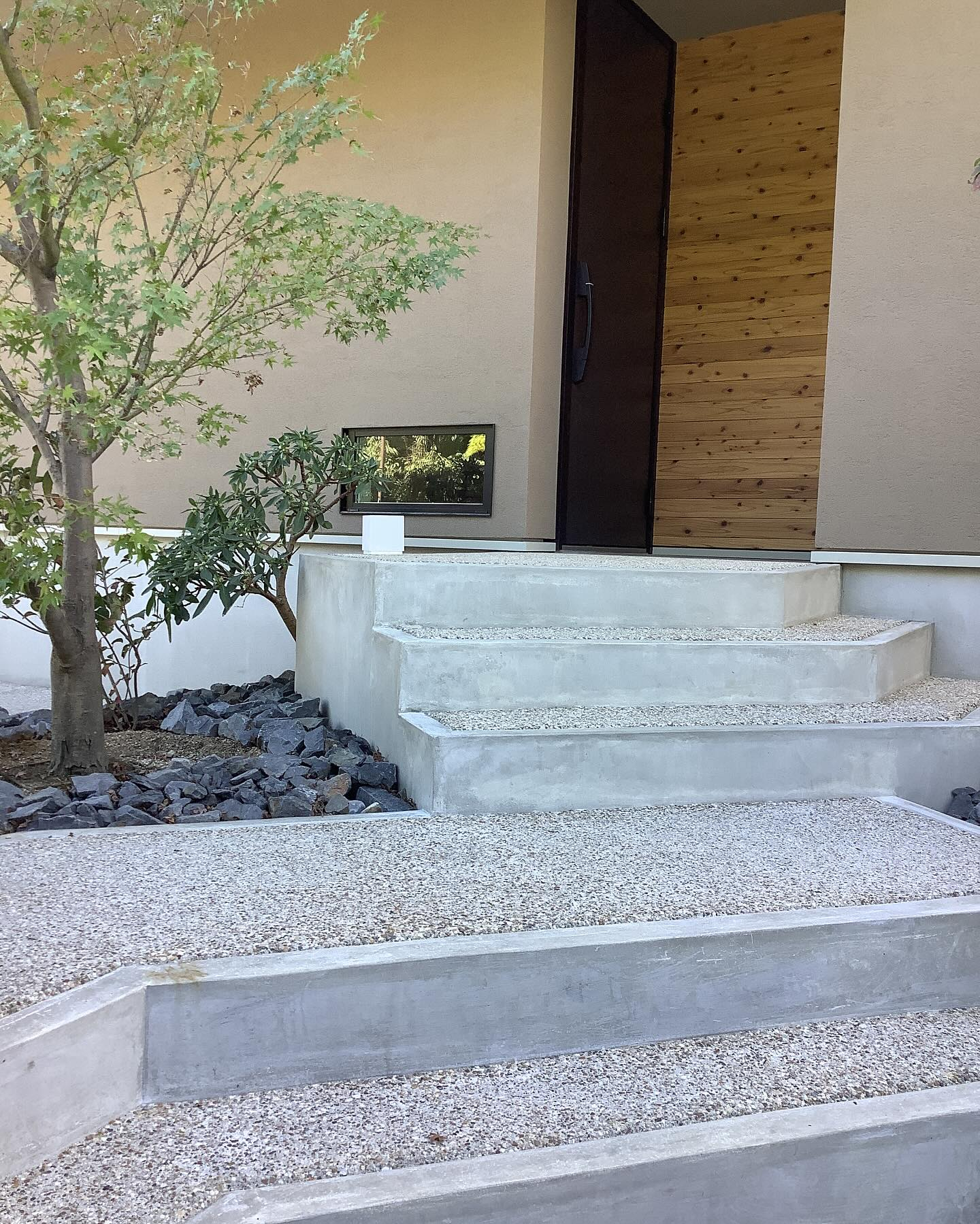 階段に座って樹木を眺めるのも良いですね