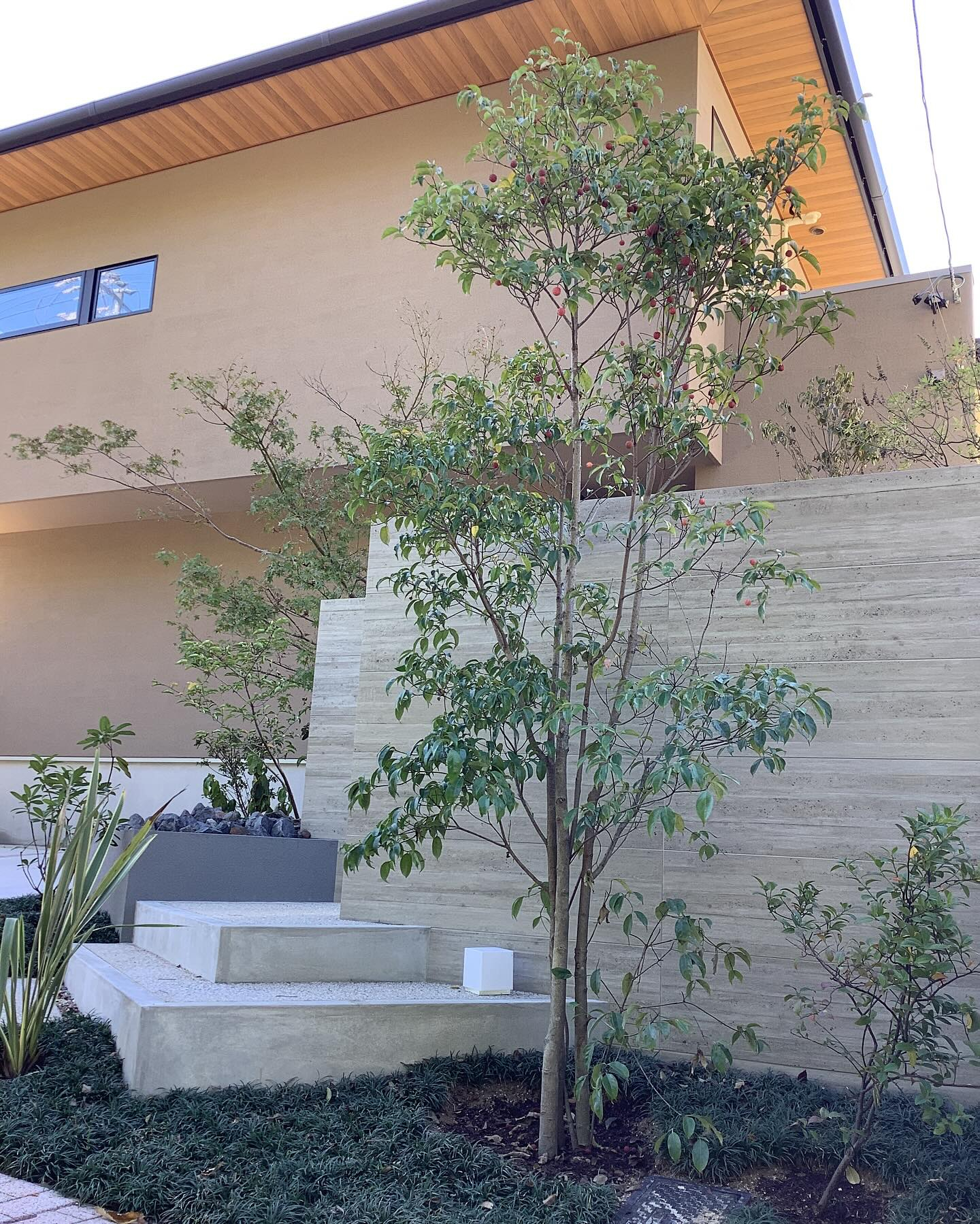 階段に座って樹木を眺めるのも良いですね