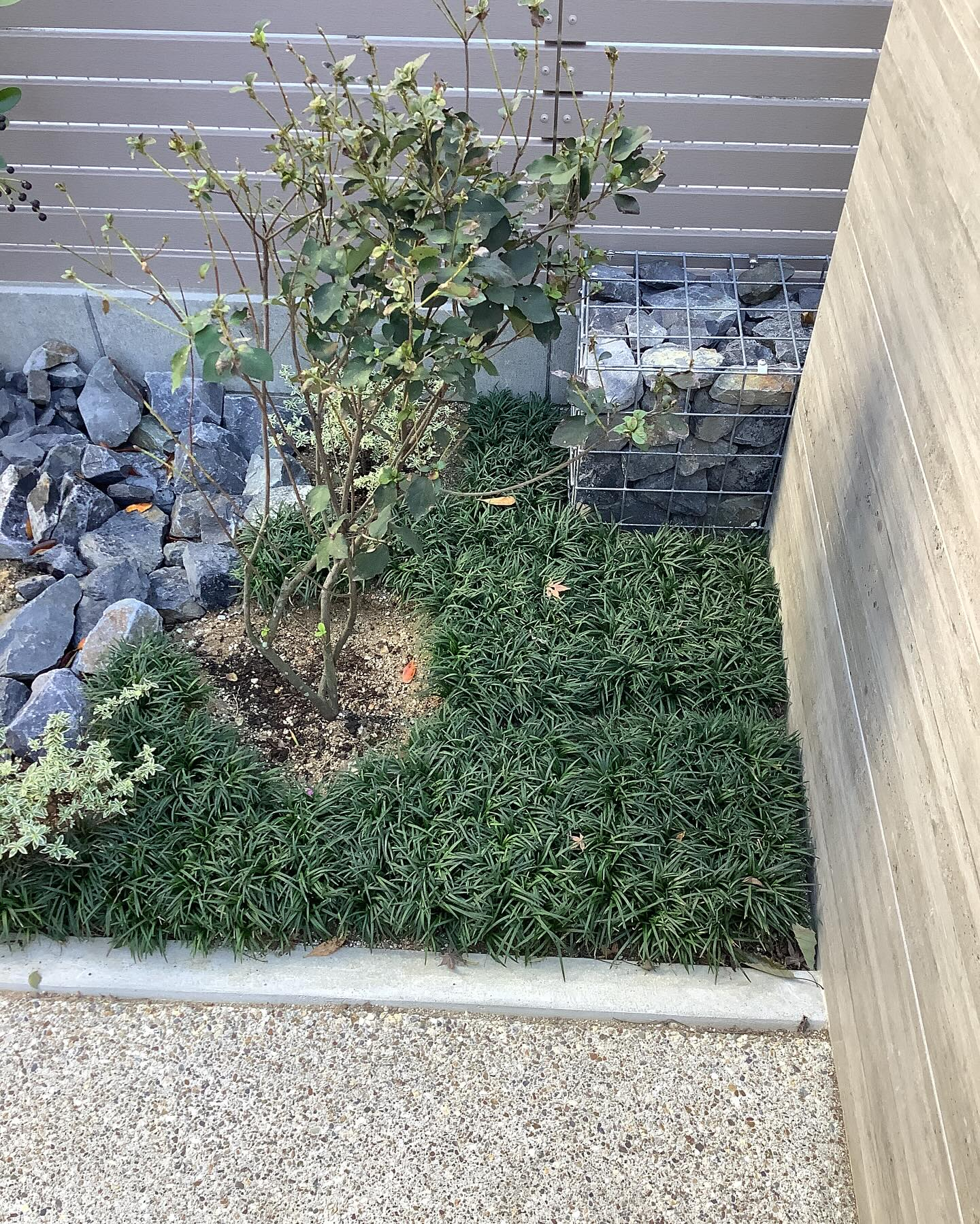 階段に座って樹木を眺めるのも良いですね