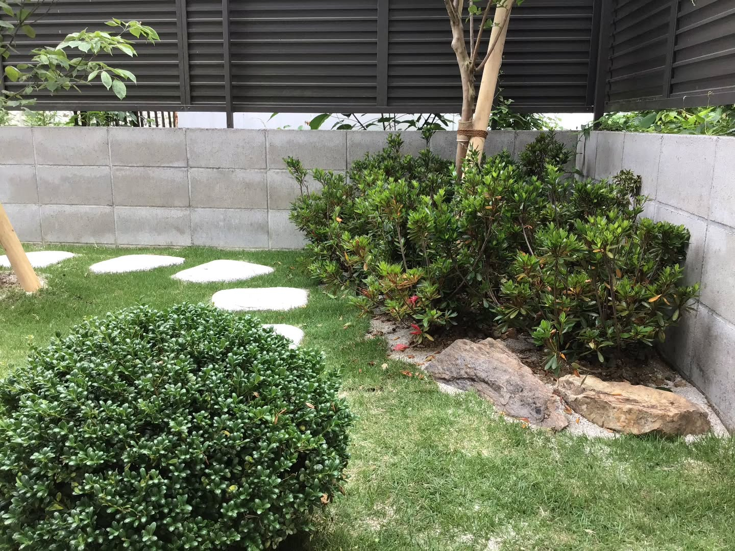 朝ドラに出てくるような庭にして欲しいと、、、