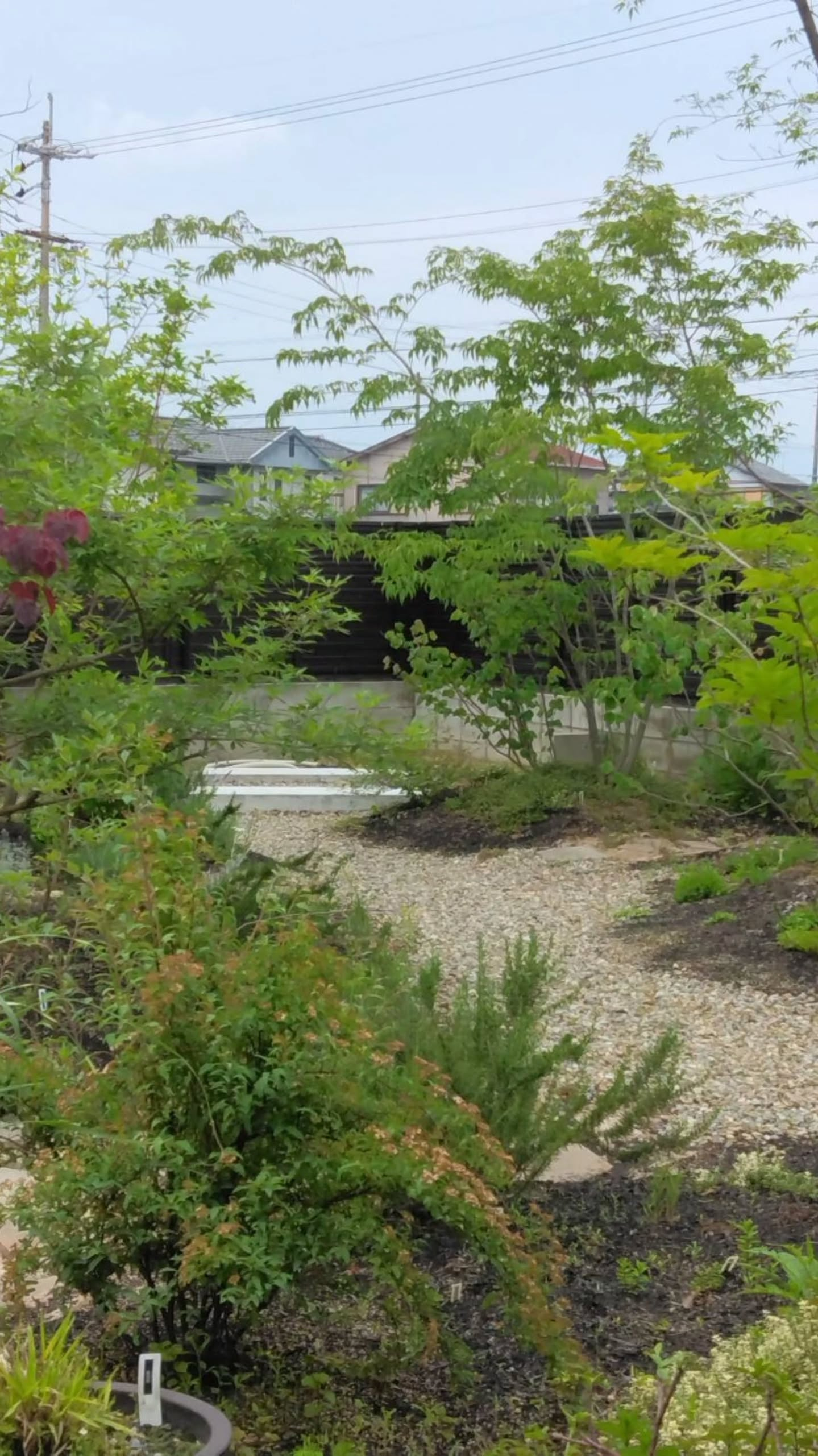 樹木のある暮らし