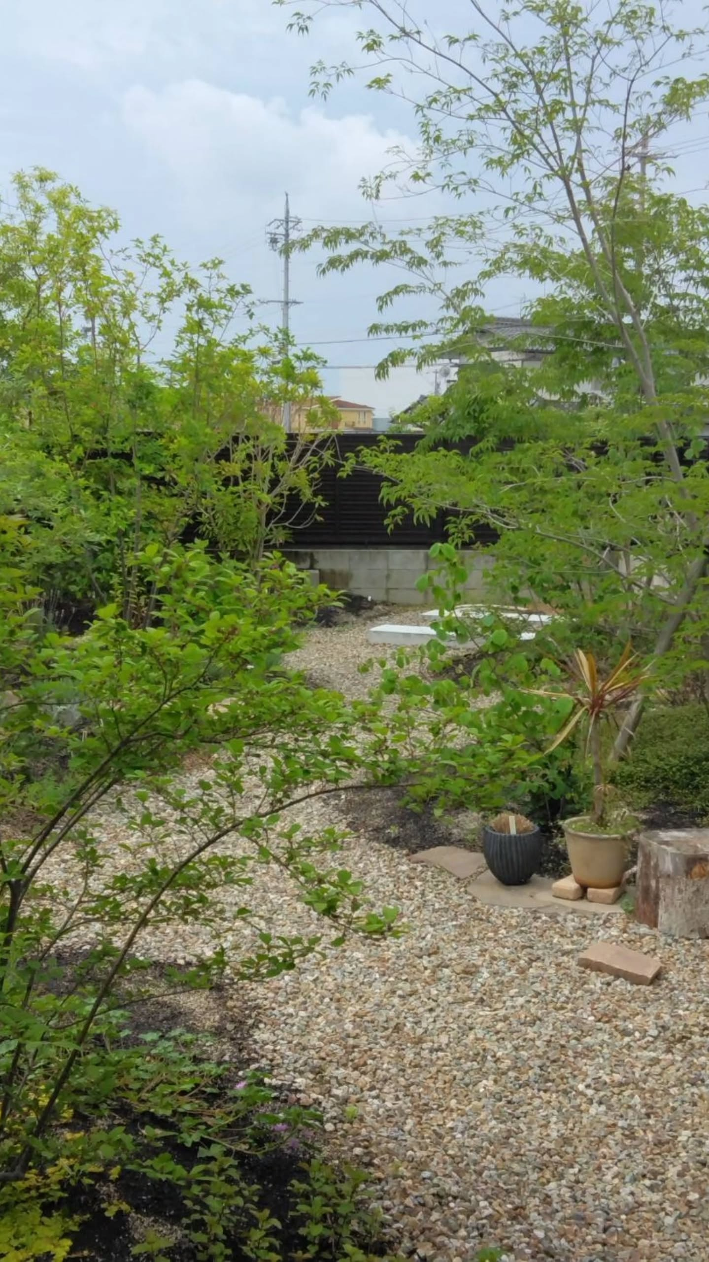 樹木のある暮らし