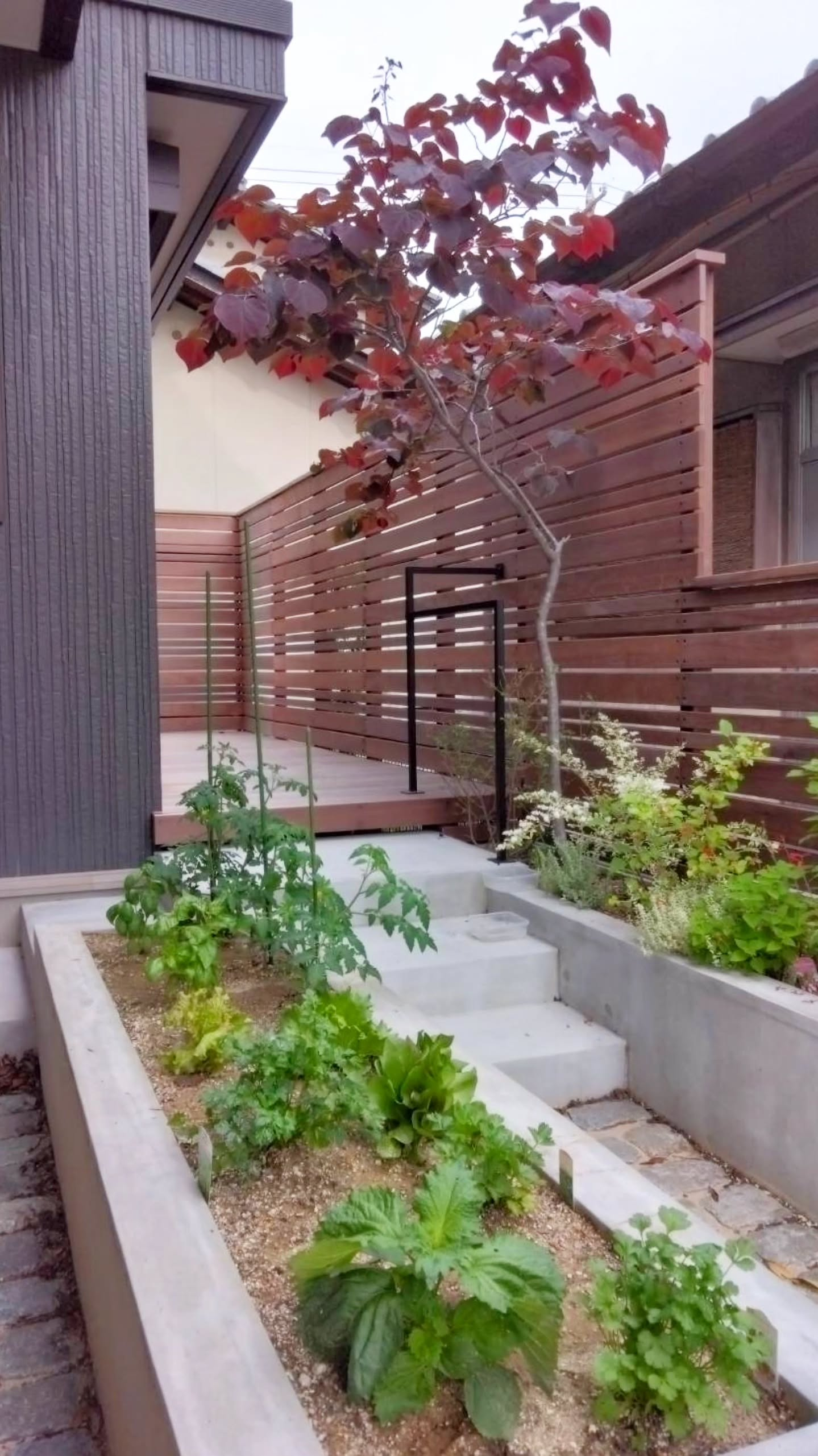 庭の真ん中はベジタブル&ハーブガーデン。