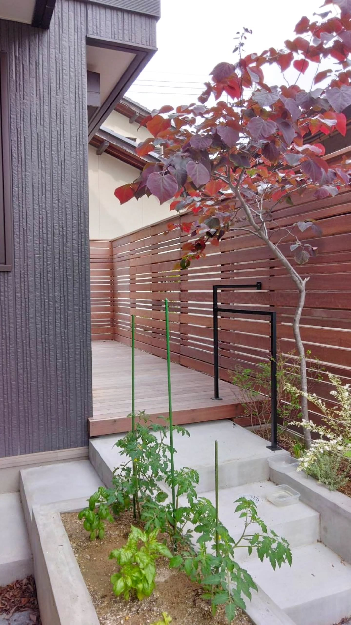 庭の真ん中はベジタブル&ハーブガーデン。