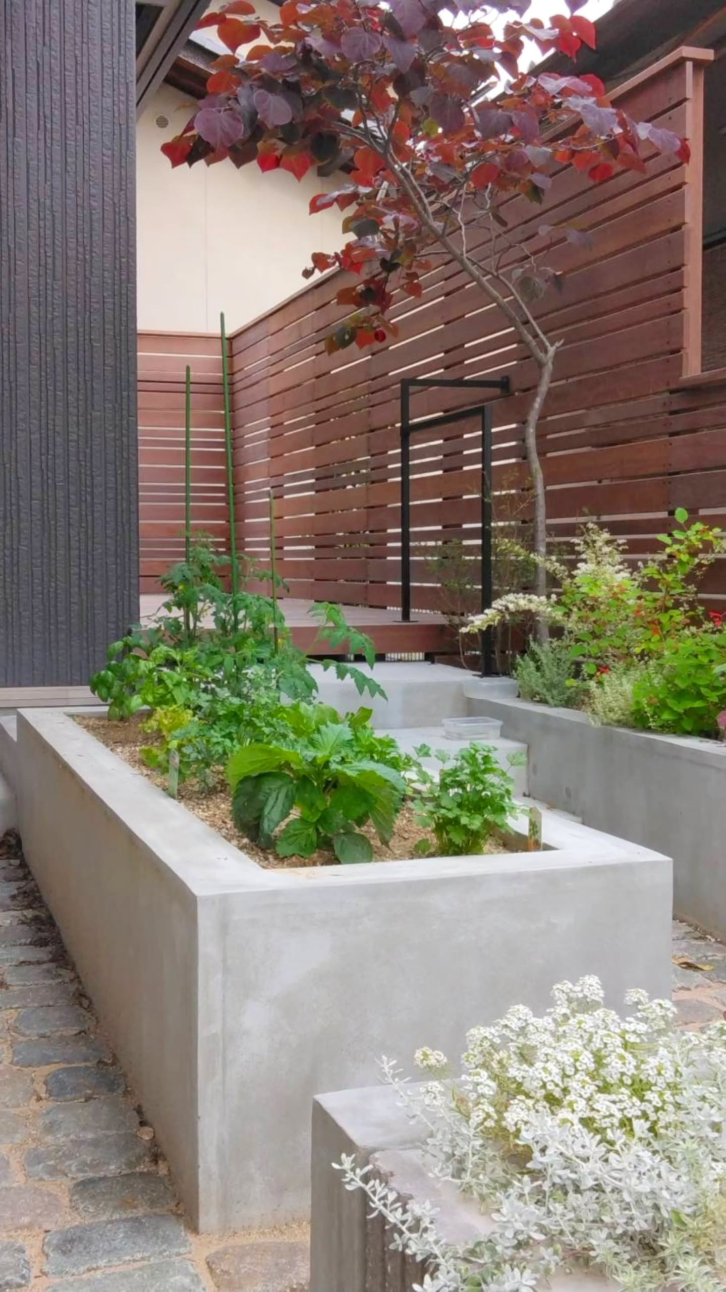 庭の真ん中はベジタブル&ハーブガーデン。