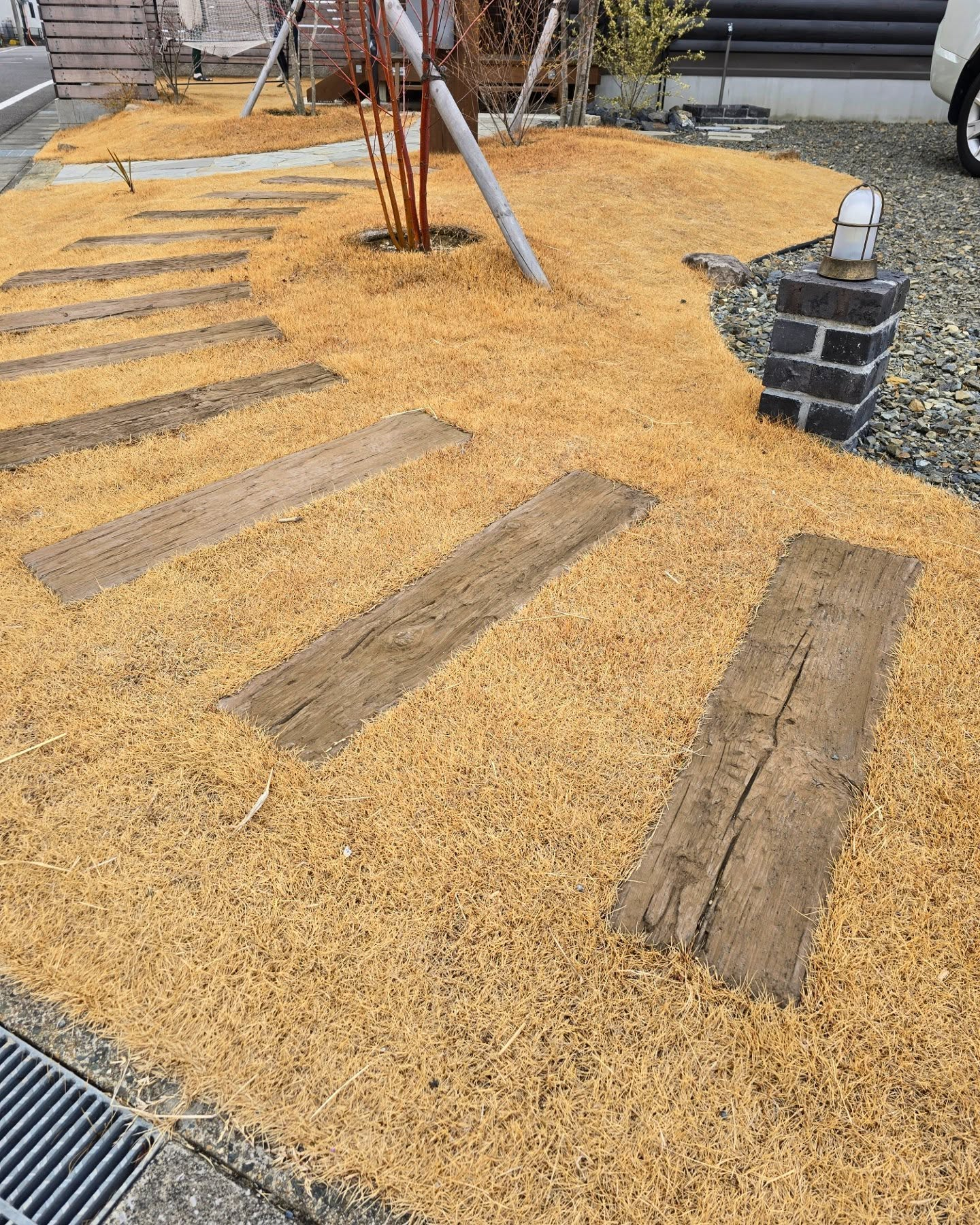 休眠からの目覚め