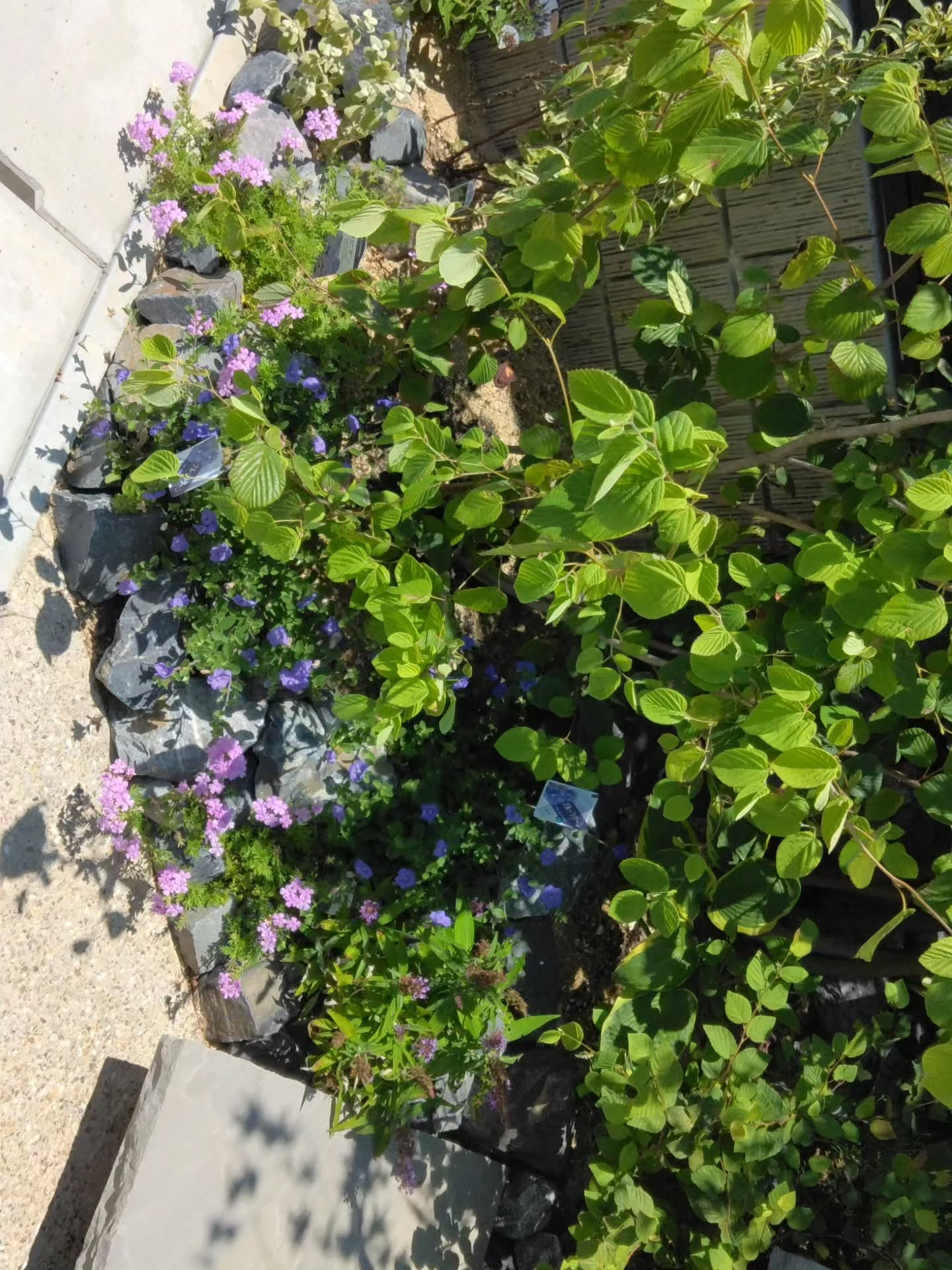 迫力とリズムのある大判石材