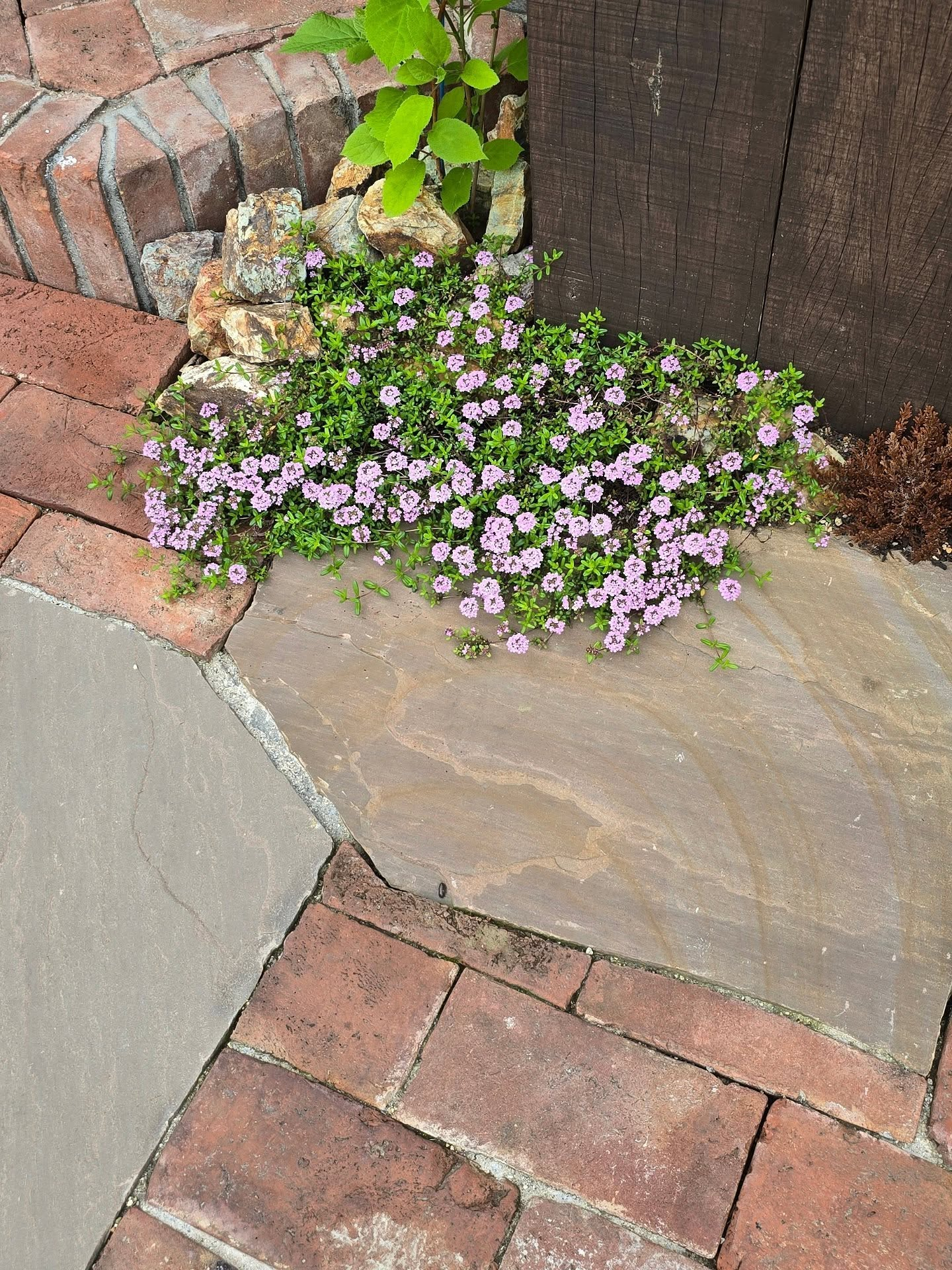 古きよきものを美ととらえる気持ち。