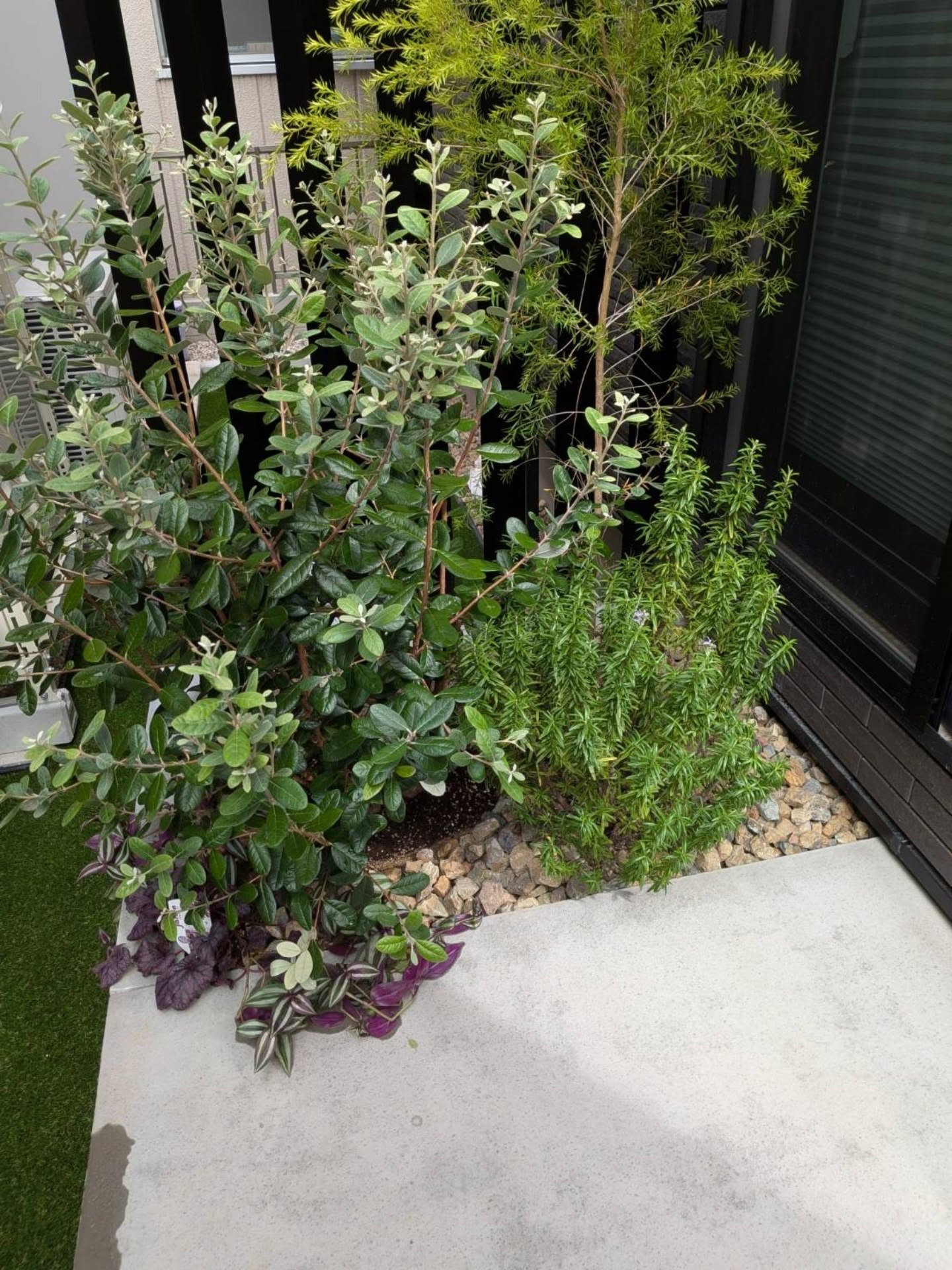 六角形の楽しい道。