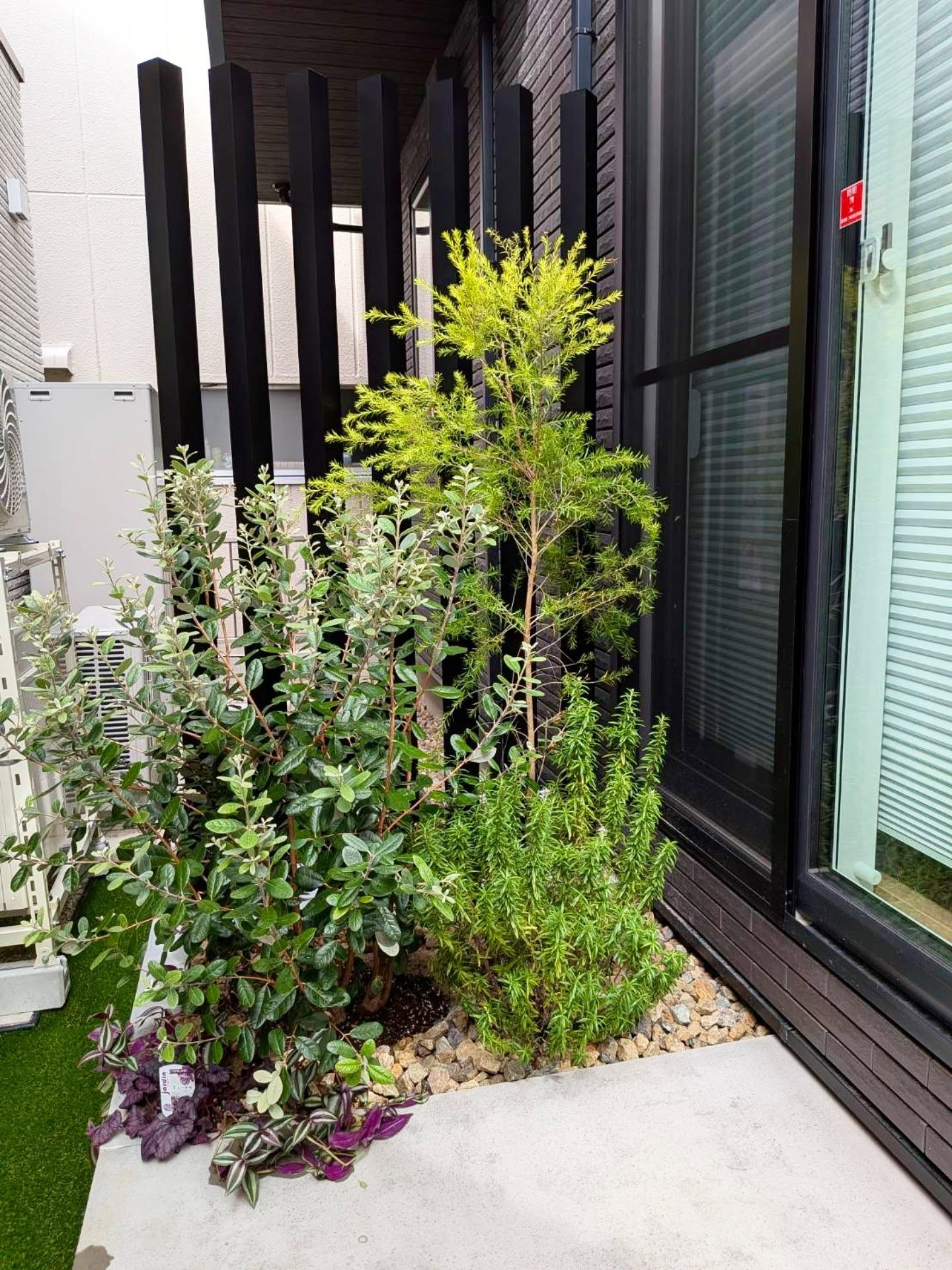 六角形の楽しい道。