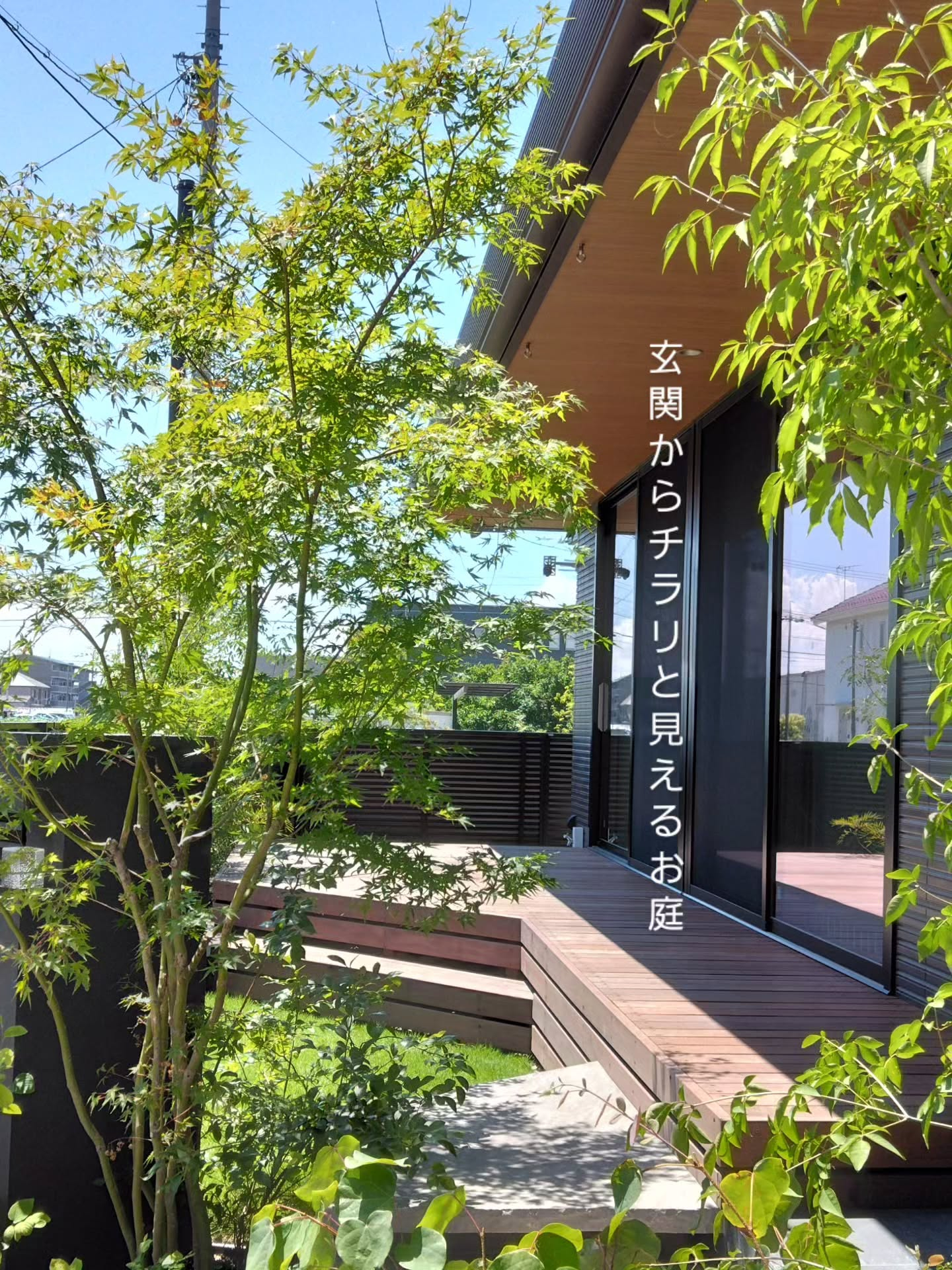 枝葉の隙間から見える景色っていいですね。