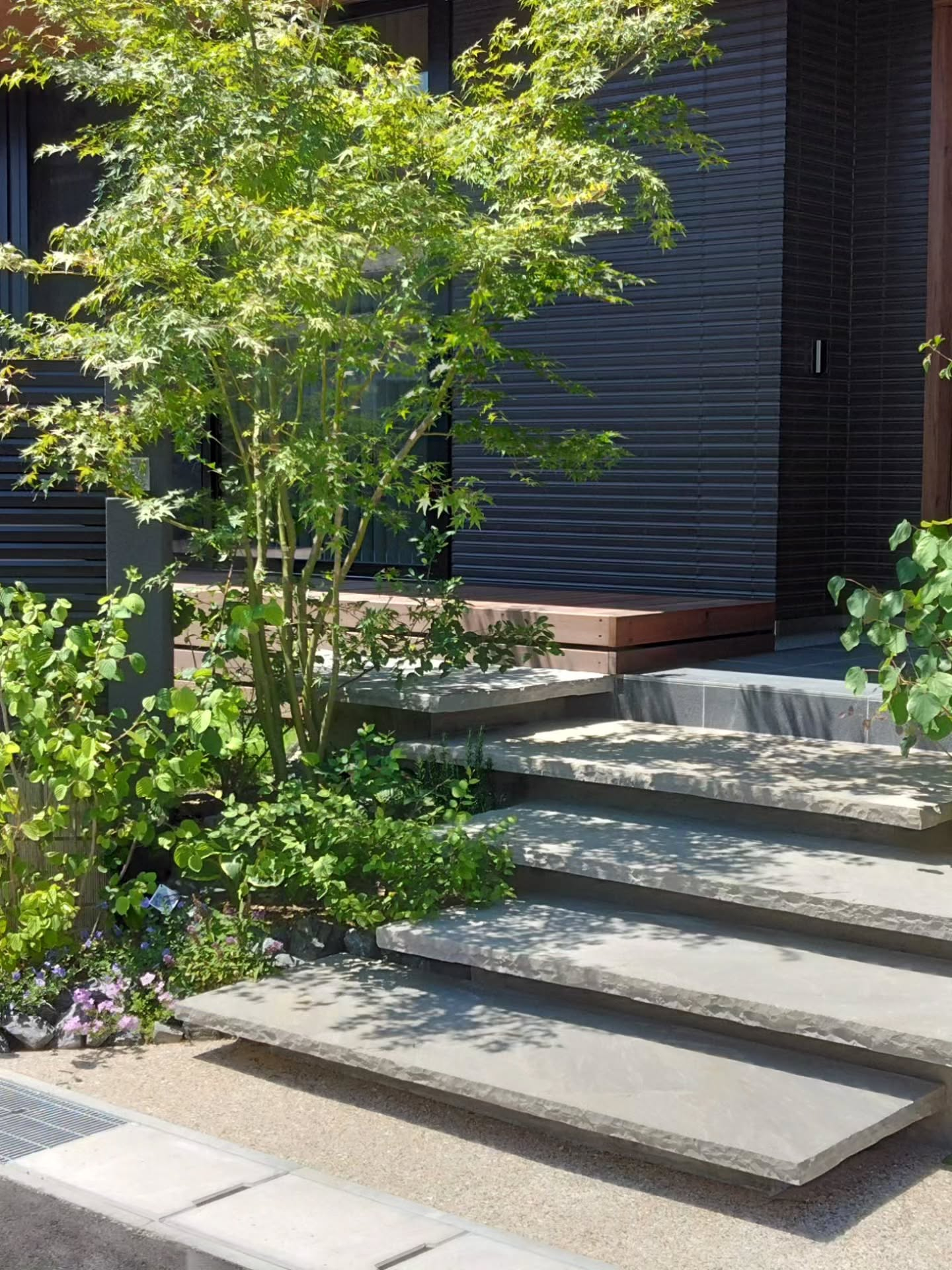 枝葉の隙間から見える景色っていいですね。