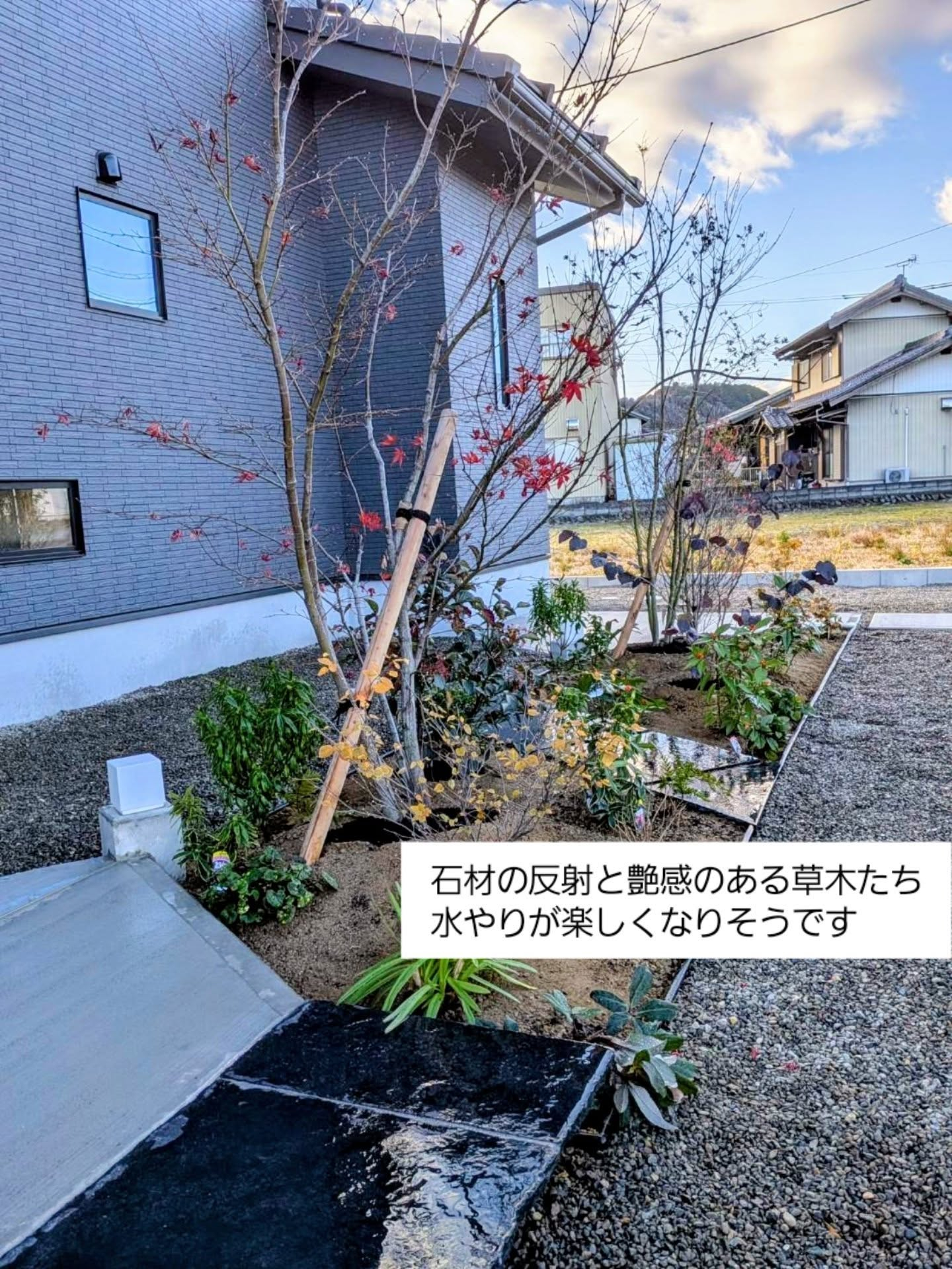 水やりの楽しい前庭。