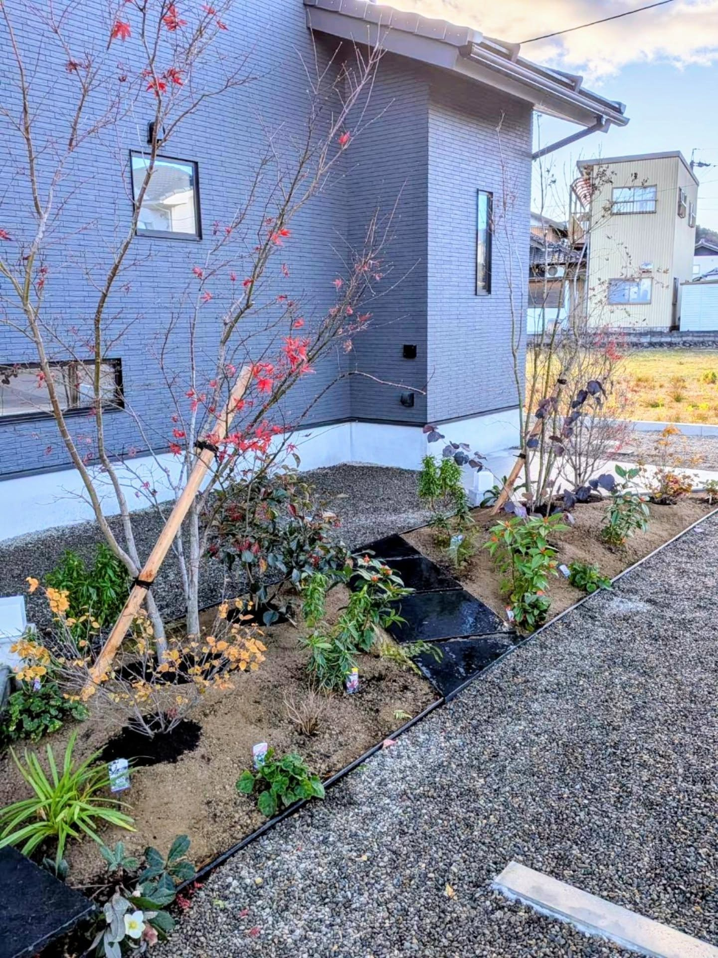 水やりの楽しい前庭。