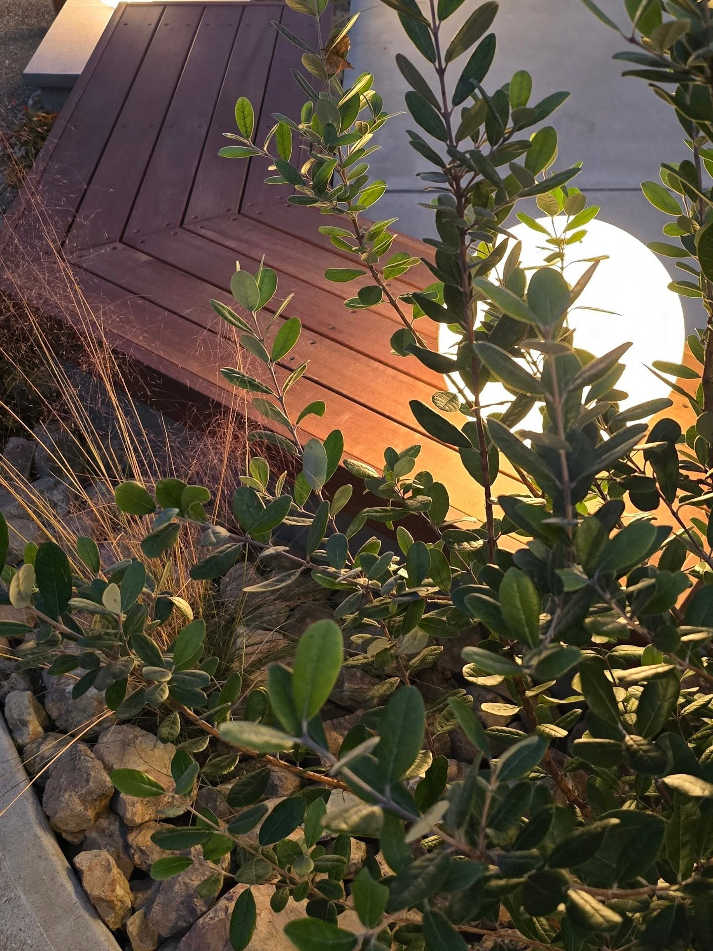 照明の大きさ、高さ、位置をずらして配置しました。