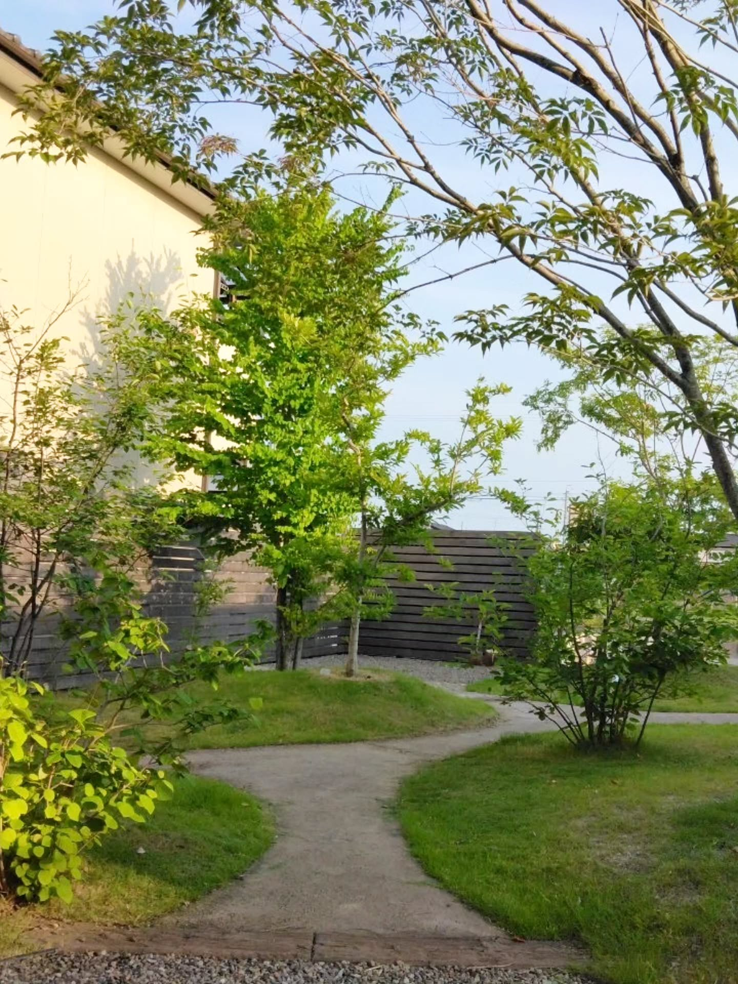 くねくねと曲がった小道。