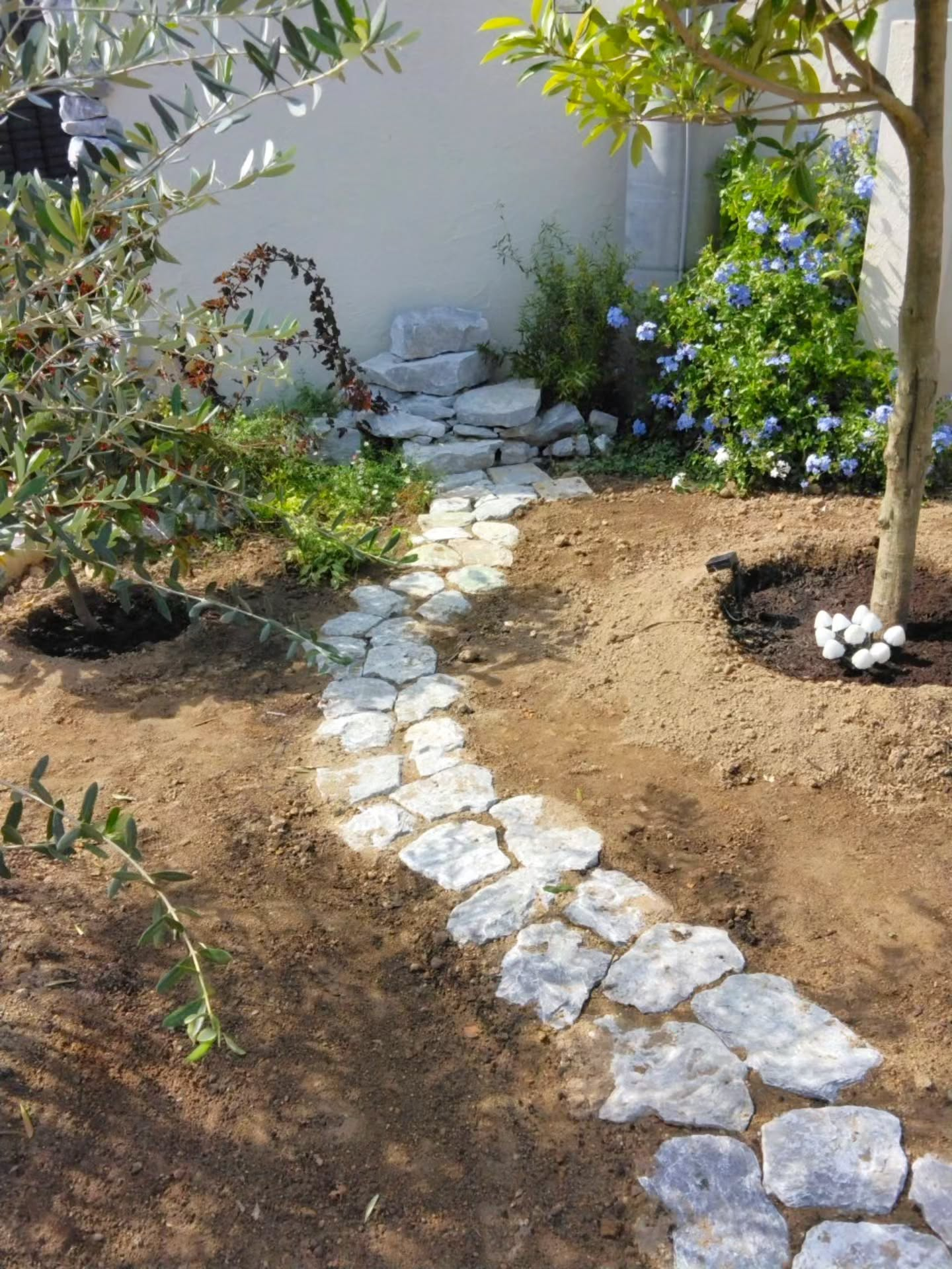 くねくねと曲がった小道。