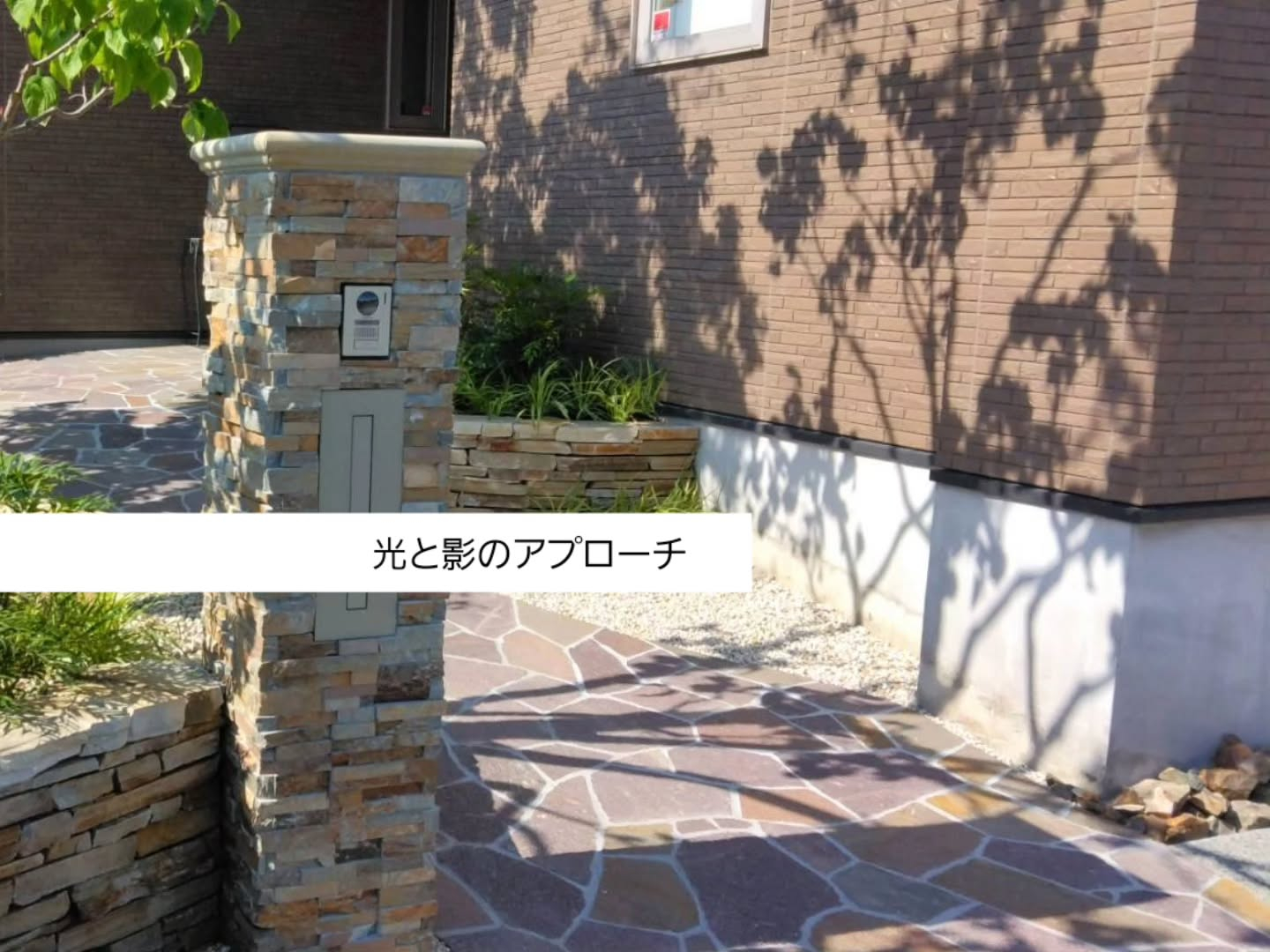 木々の陰影造形。