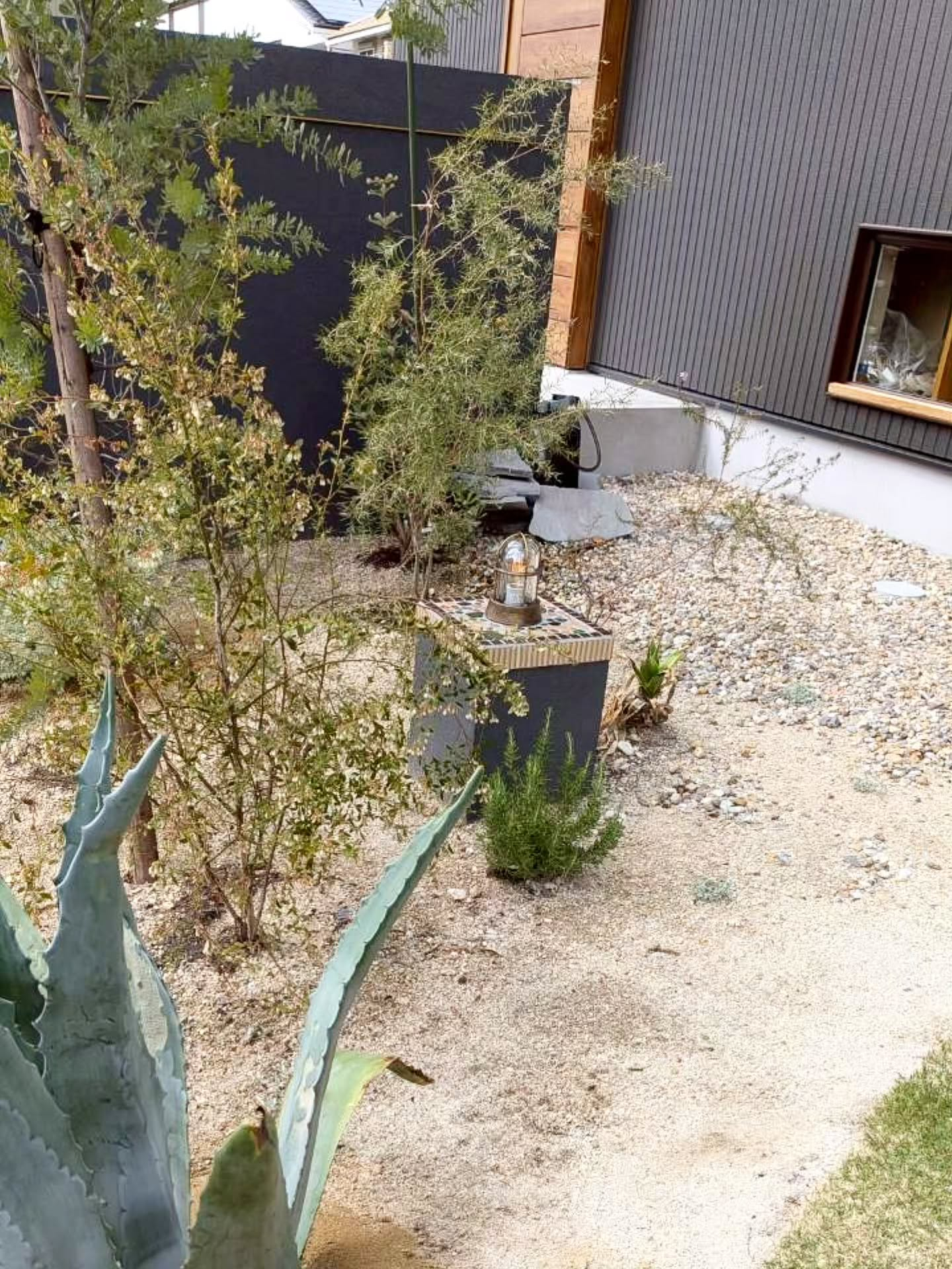 荒野を歩いているようなワイルドな道。