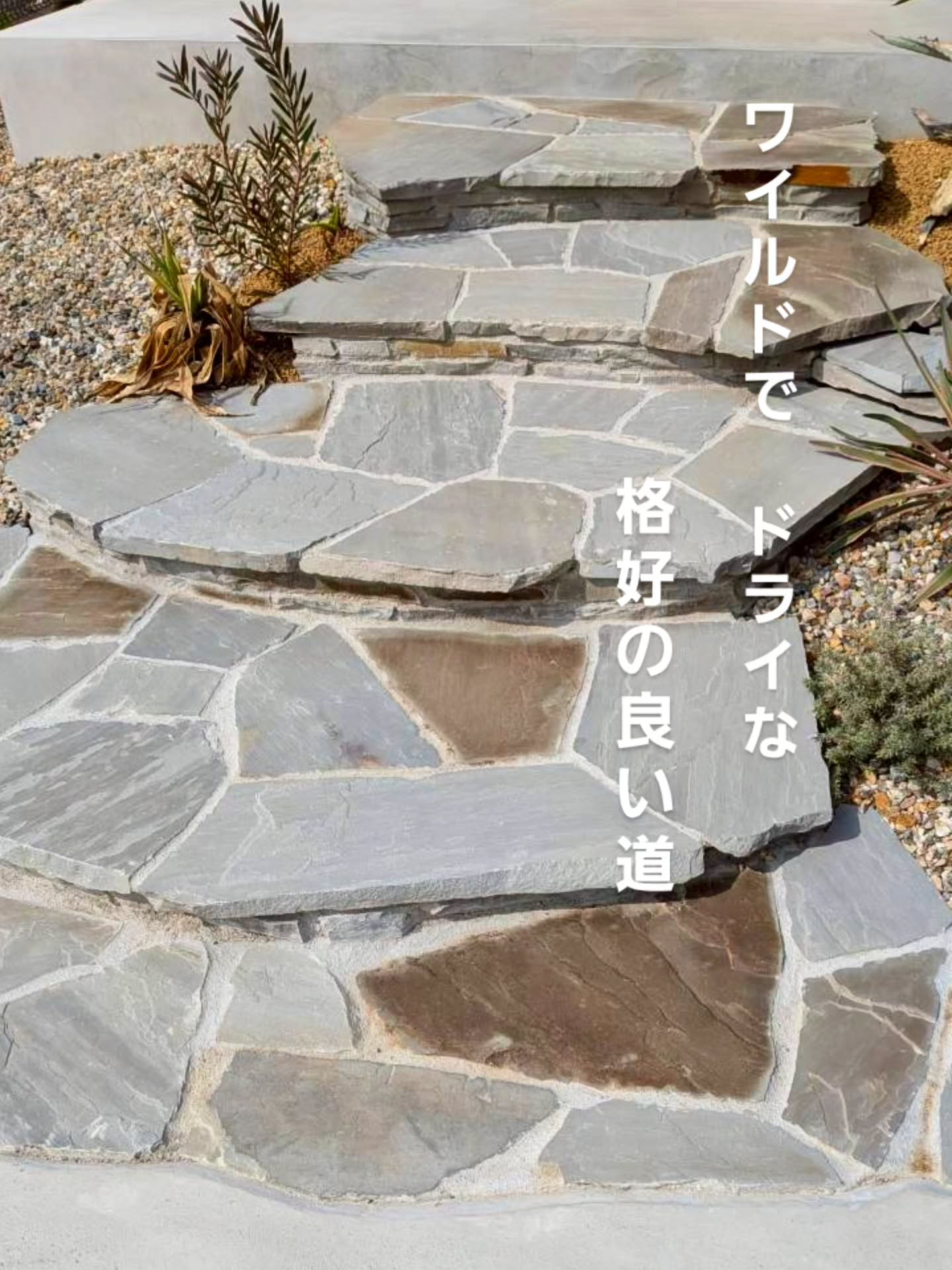 荒野を歩いているようなワイルドな道。