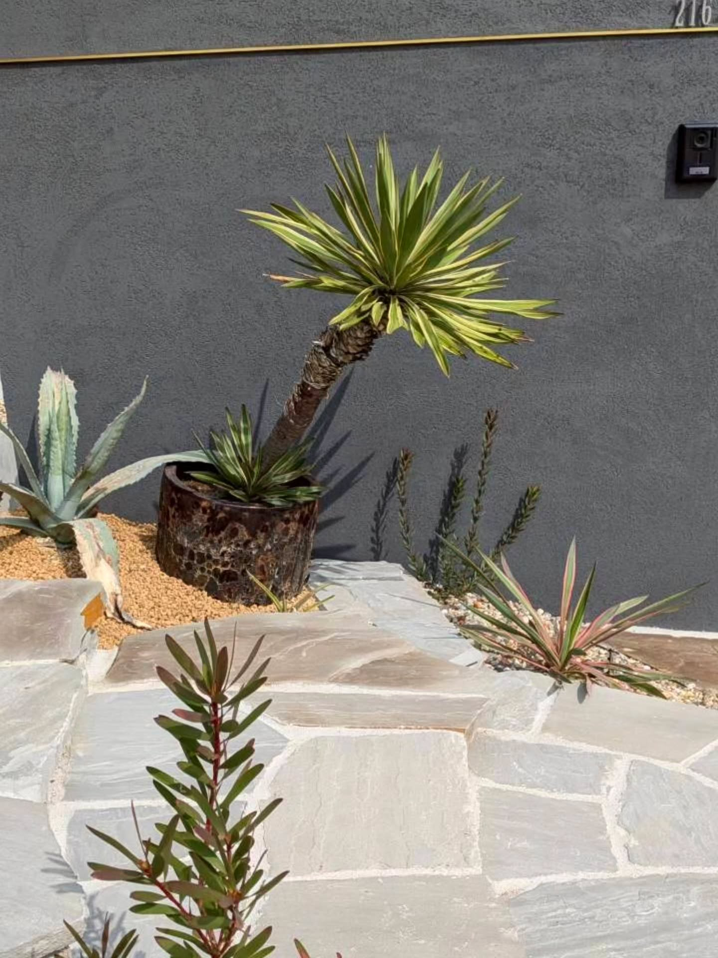 荒野を歩いているようなワイルドな道。