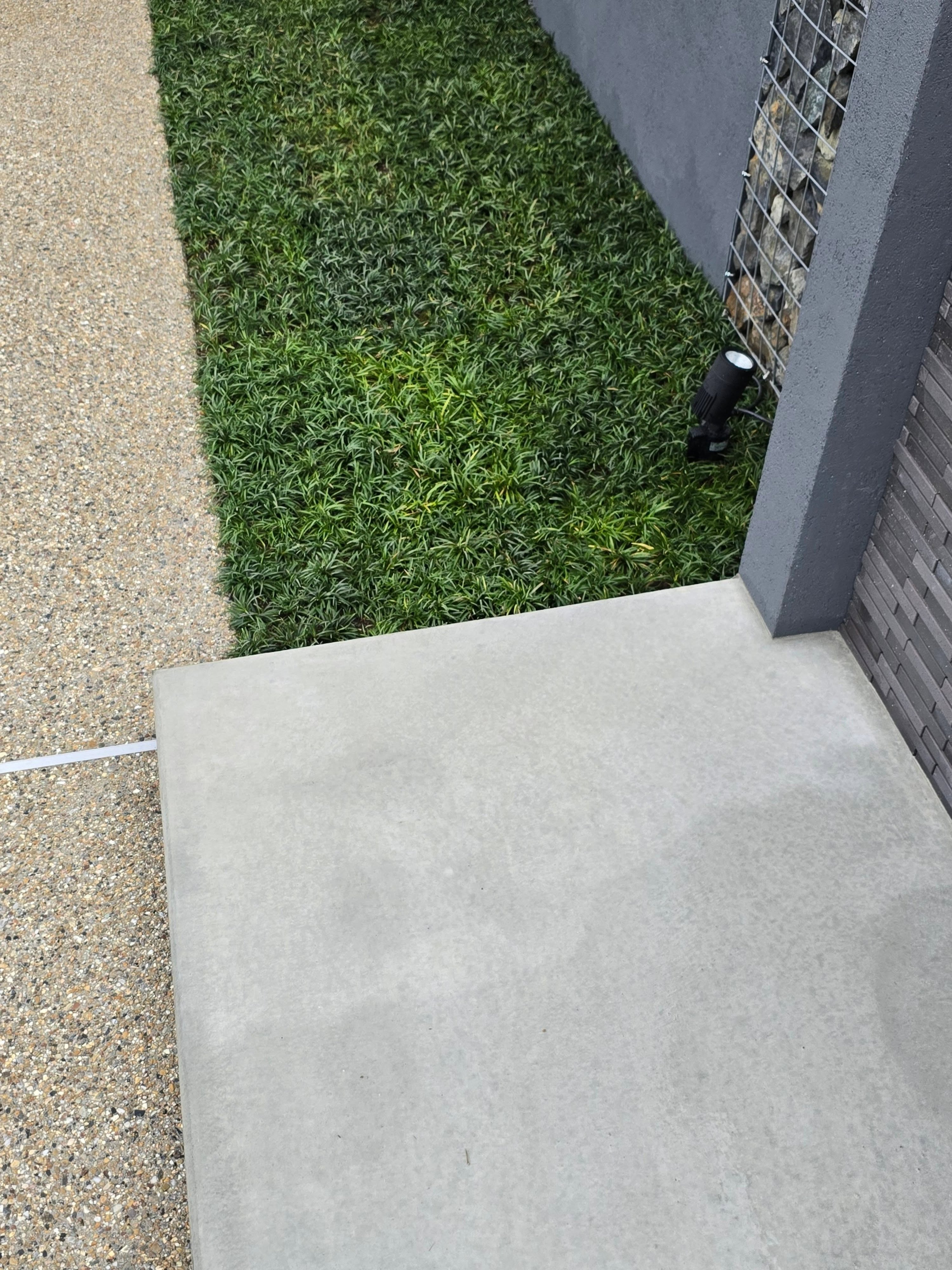正面の植栽は少し我慢しています。