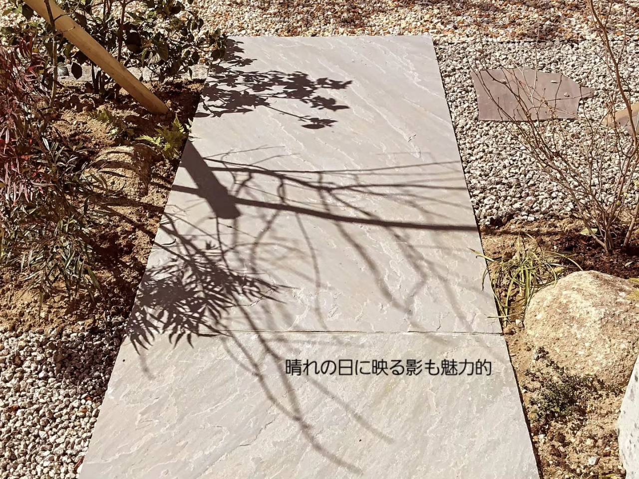 1,2枚目は雨上がりに撮影。