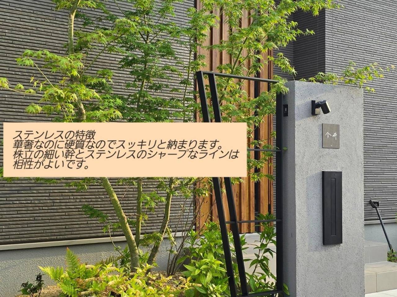 イロハモミジのある玄関。