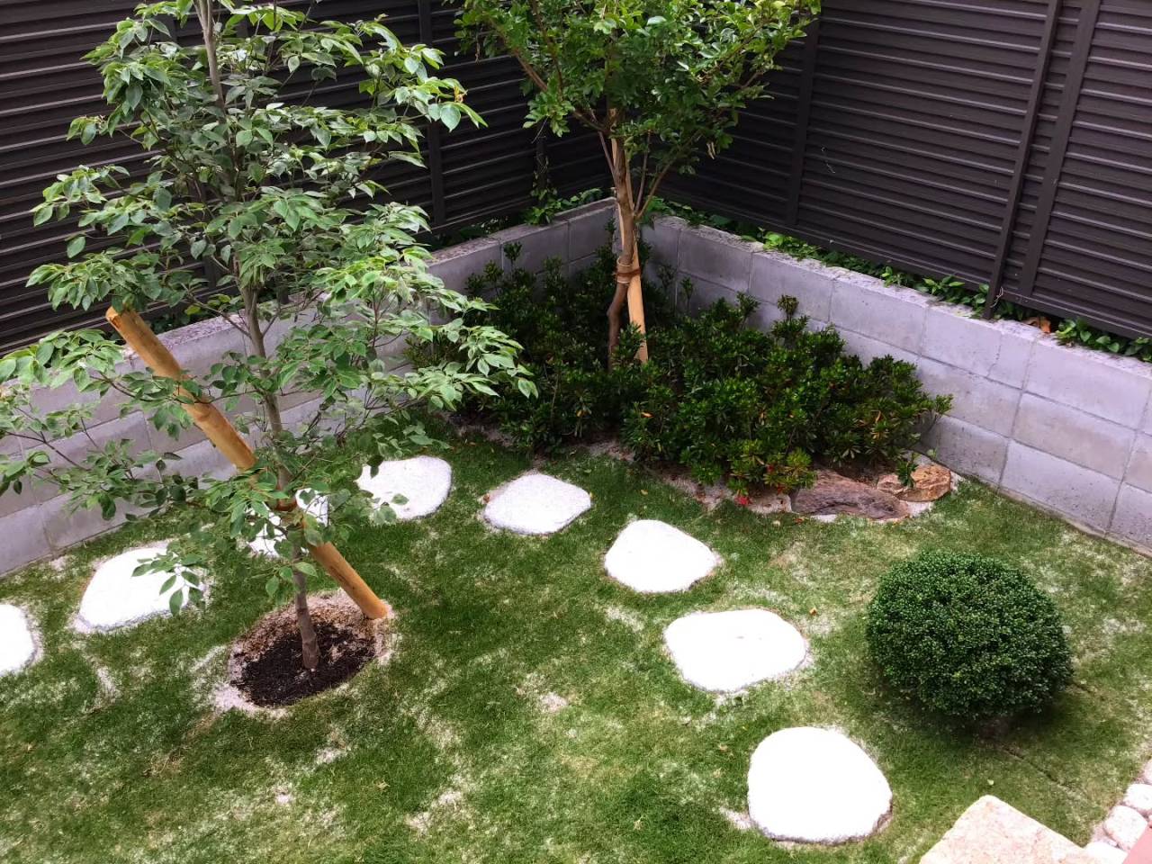 朝ドラの庭。