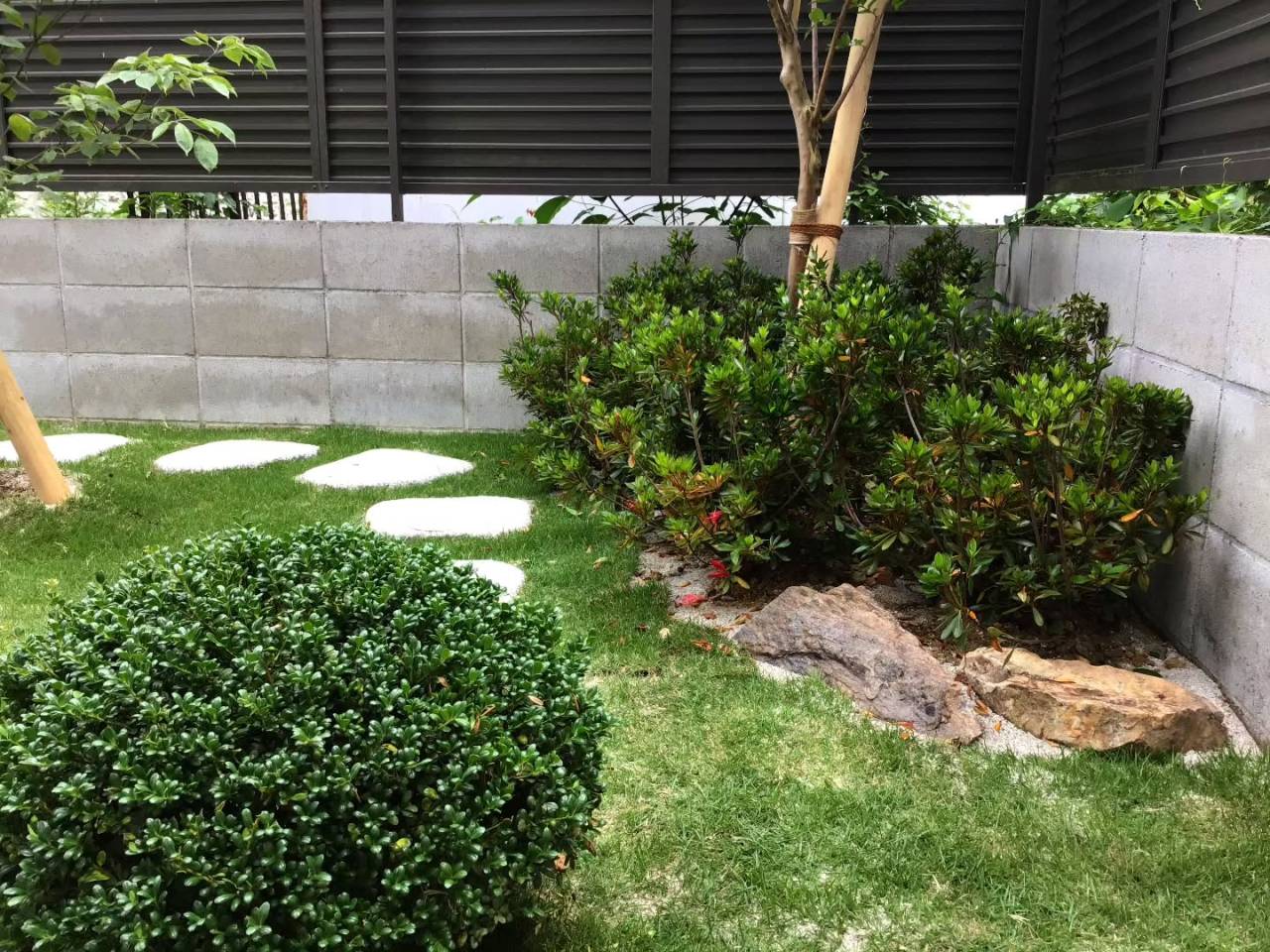 朝ドラの庭。
