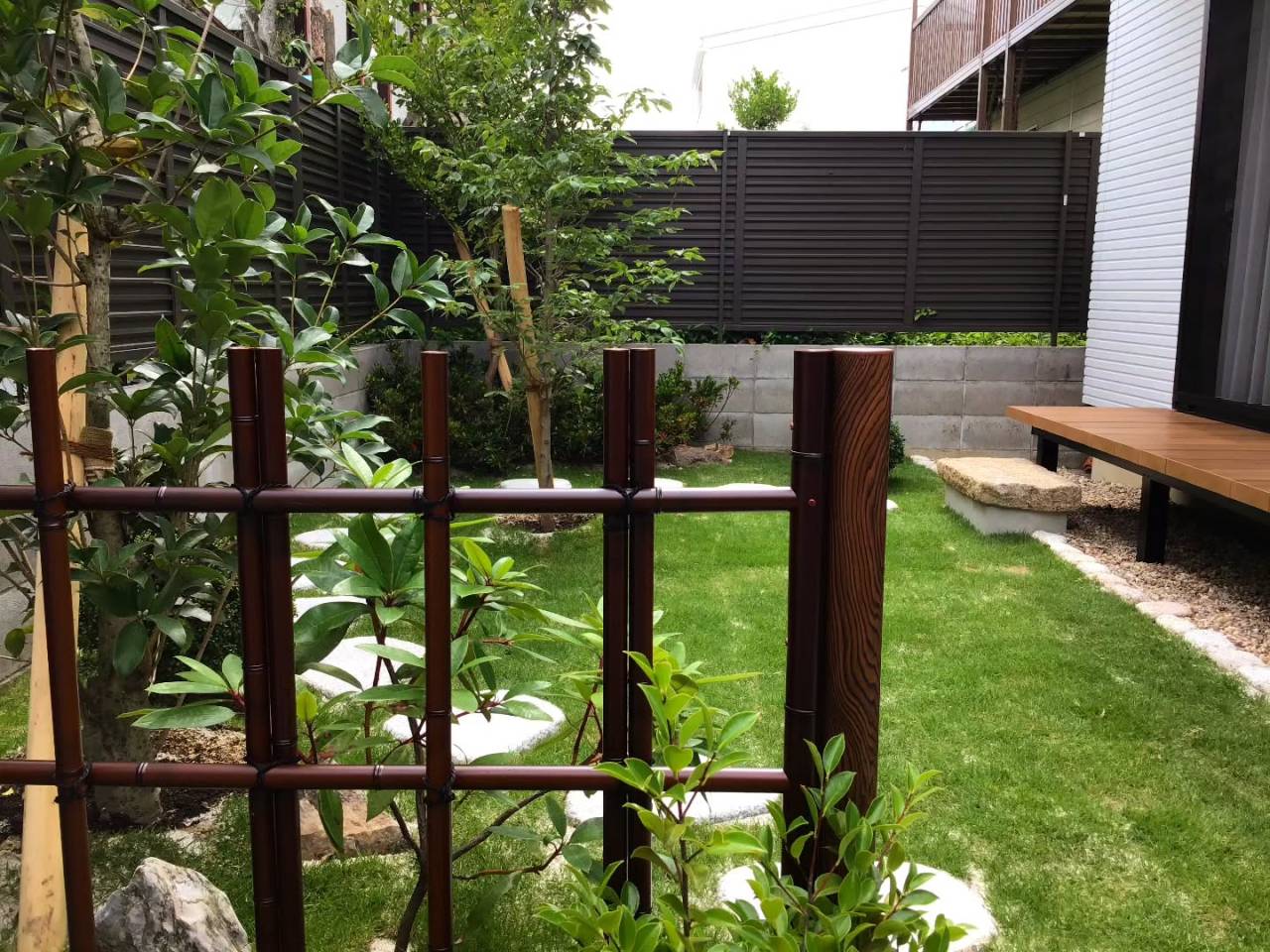 朝ドラの庭。