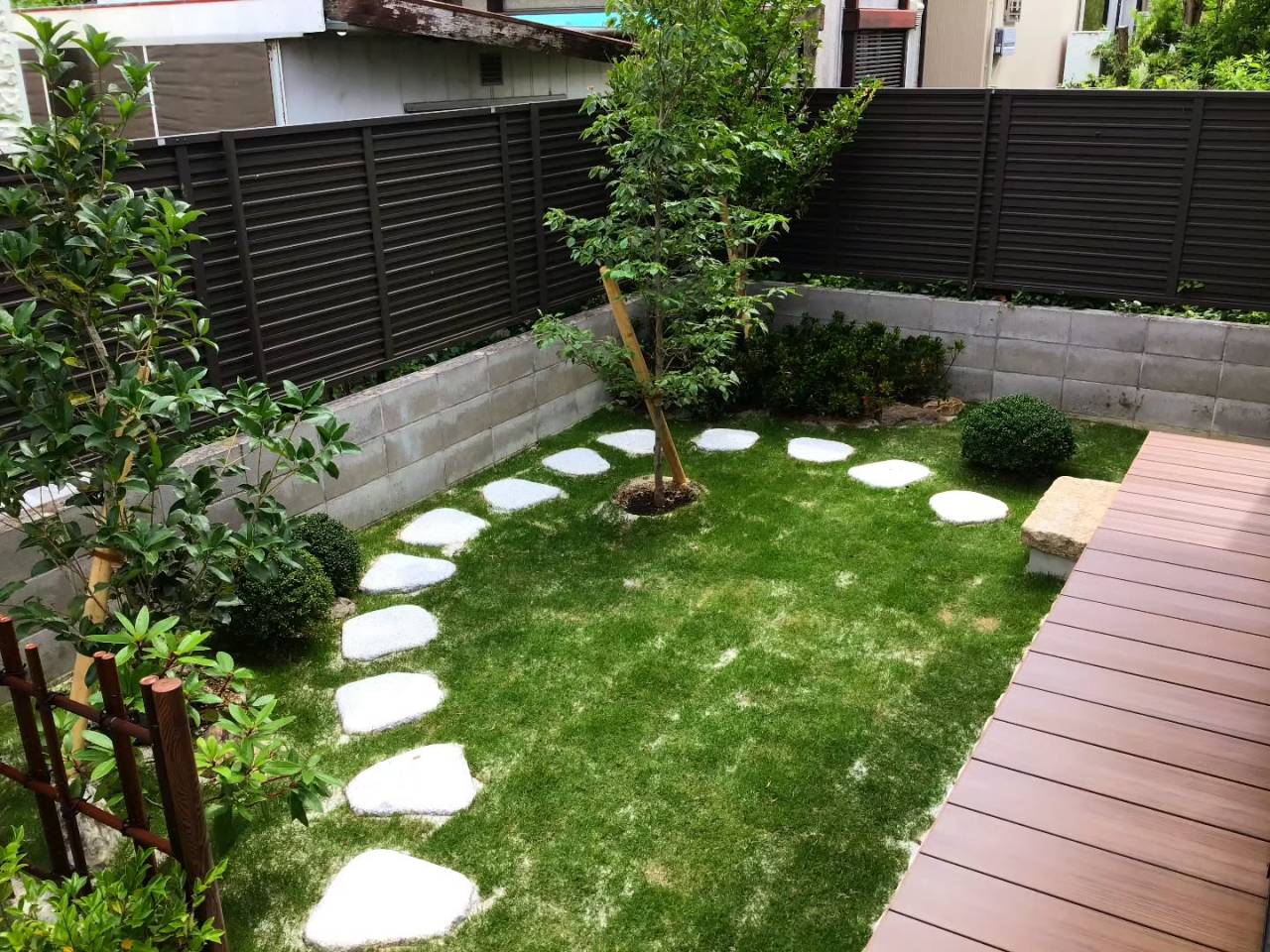 朝ドラの庭。