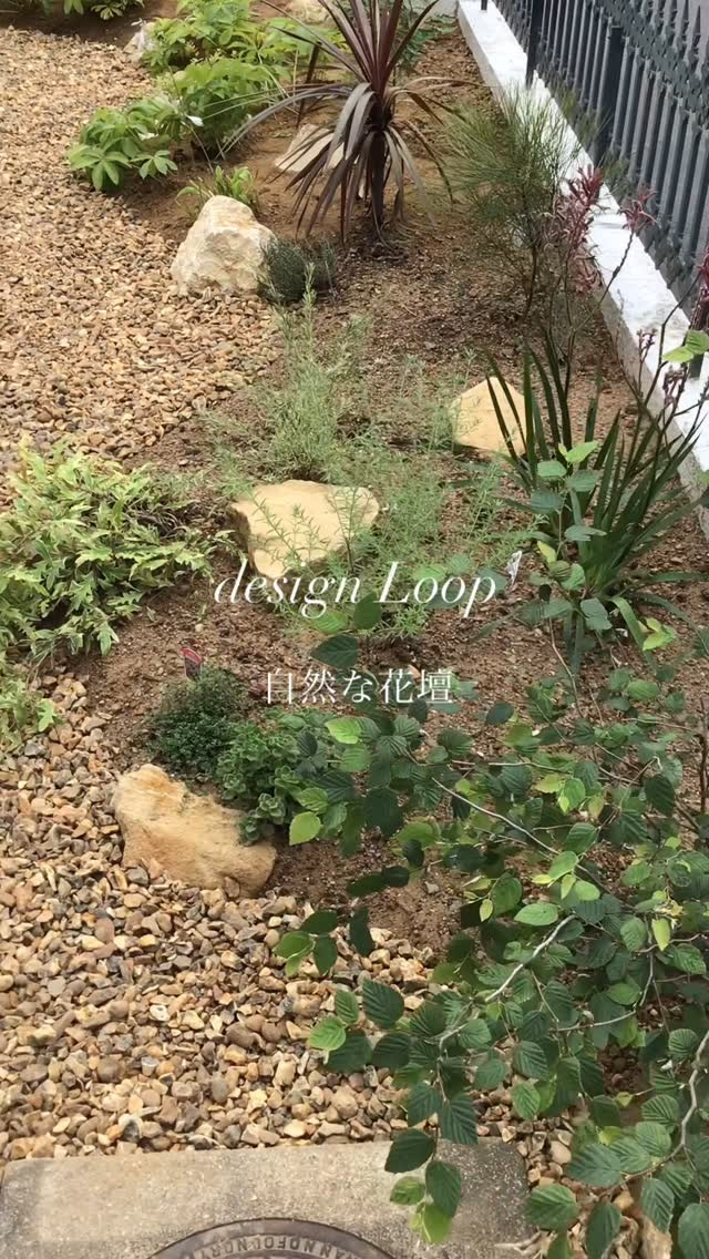 景石や砂利を添えると植栽の印象も変わりますね。