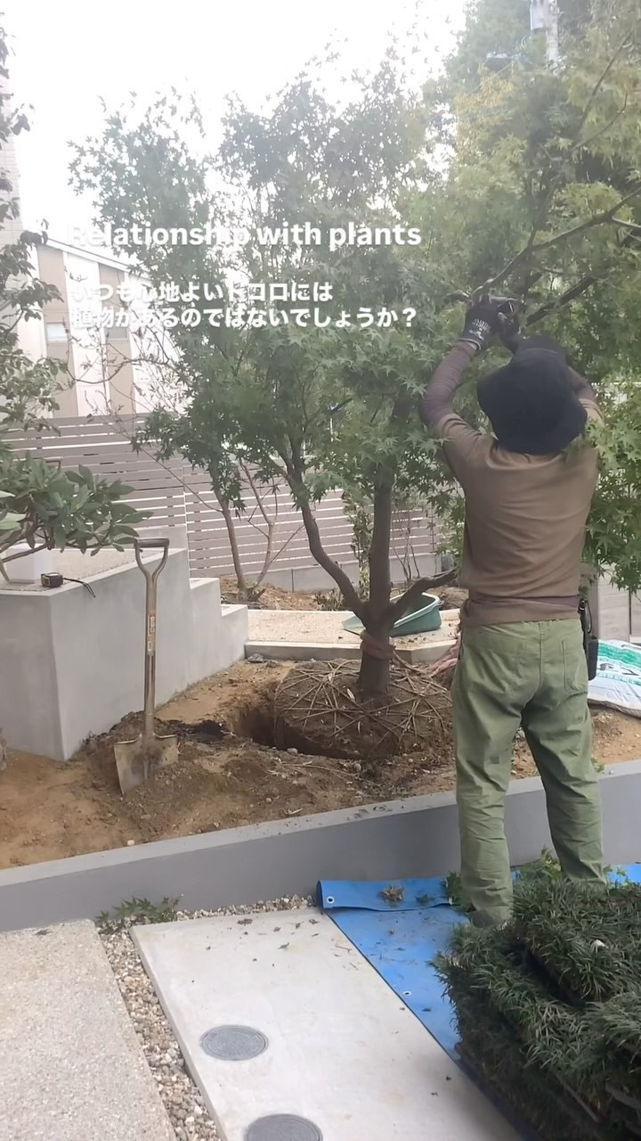 枝や葉に太陽があたれば床に影を落とし、