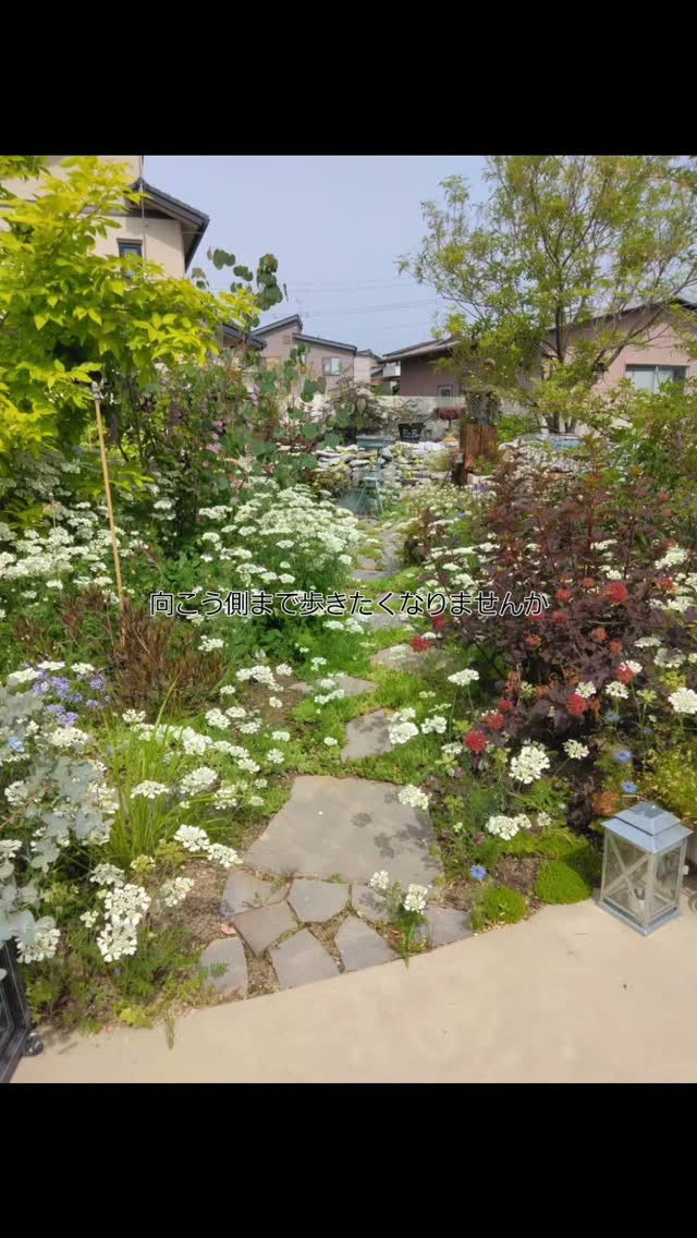 小さな草花のある野原っぽさ、、