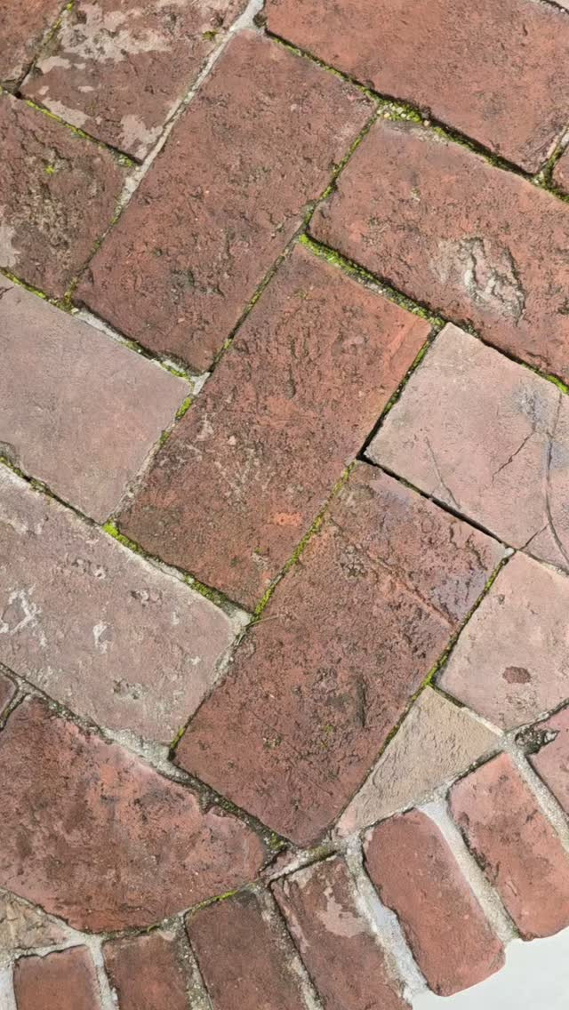 レンガ目地にむす苔。