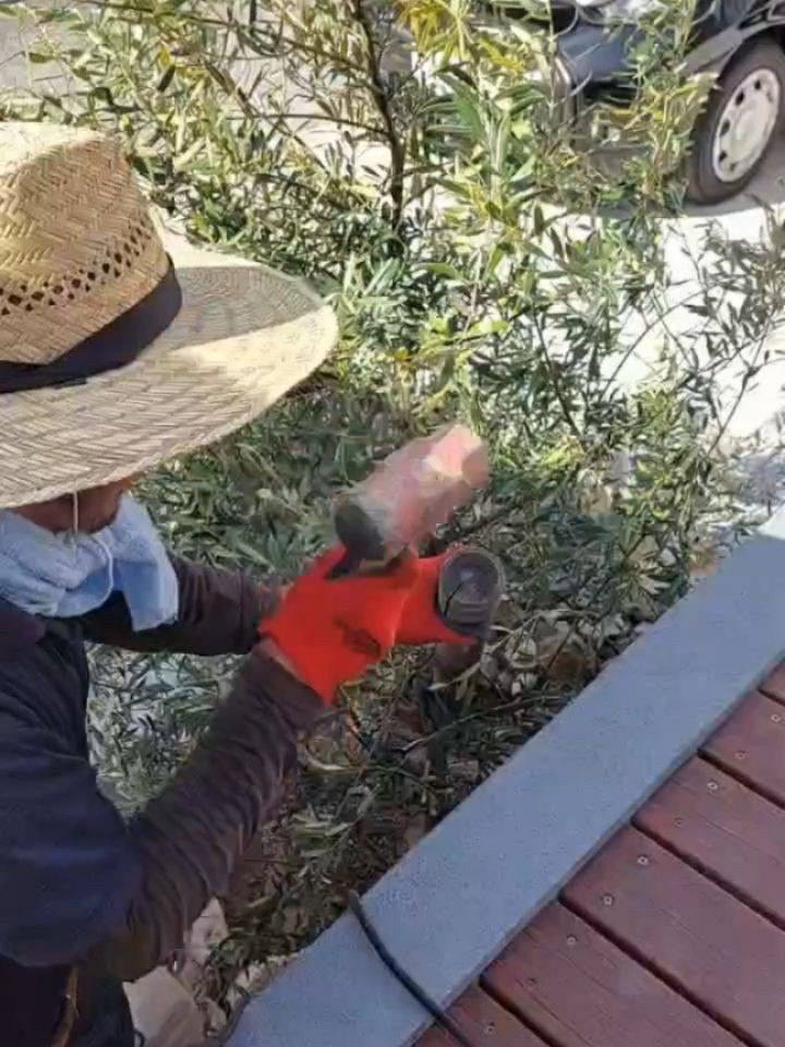 外構の最終仕上げは植栽。