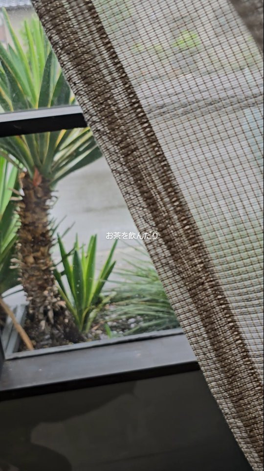 通気性がありと程よく光を取り込むシェード