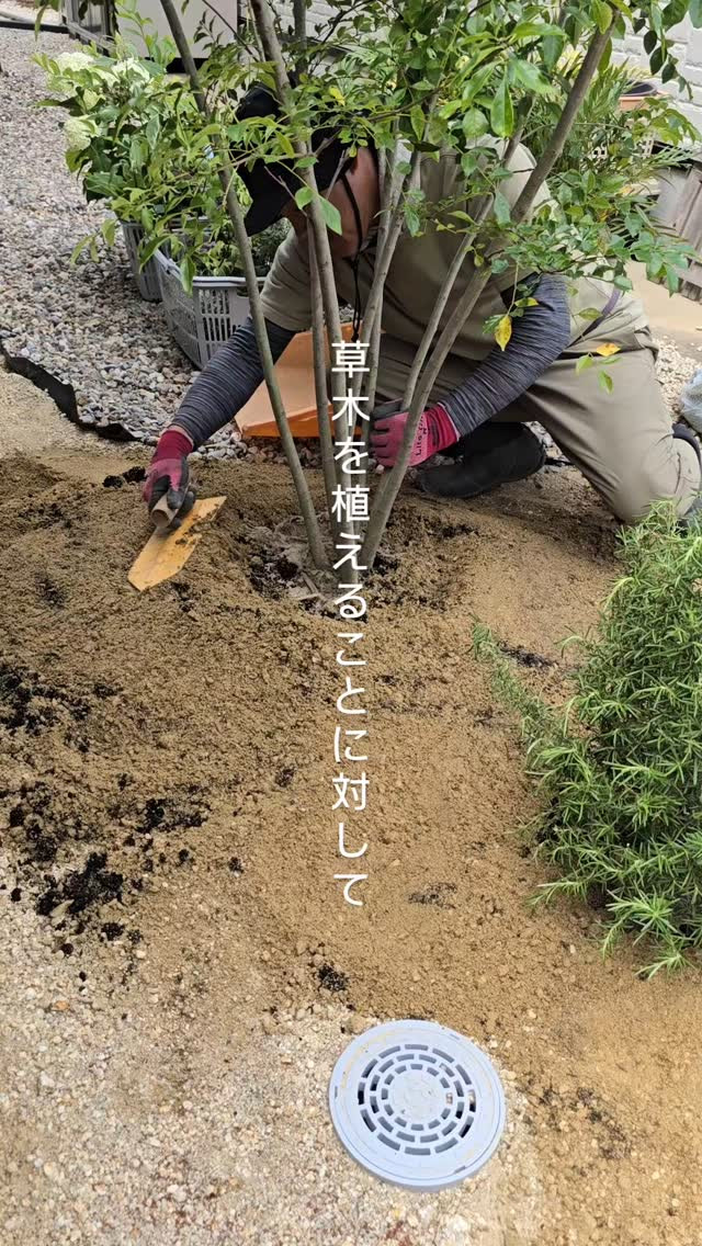 草木の先にあるもの、