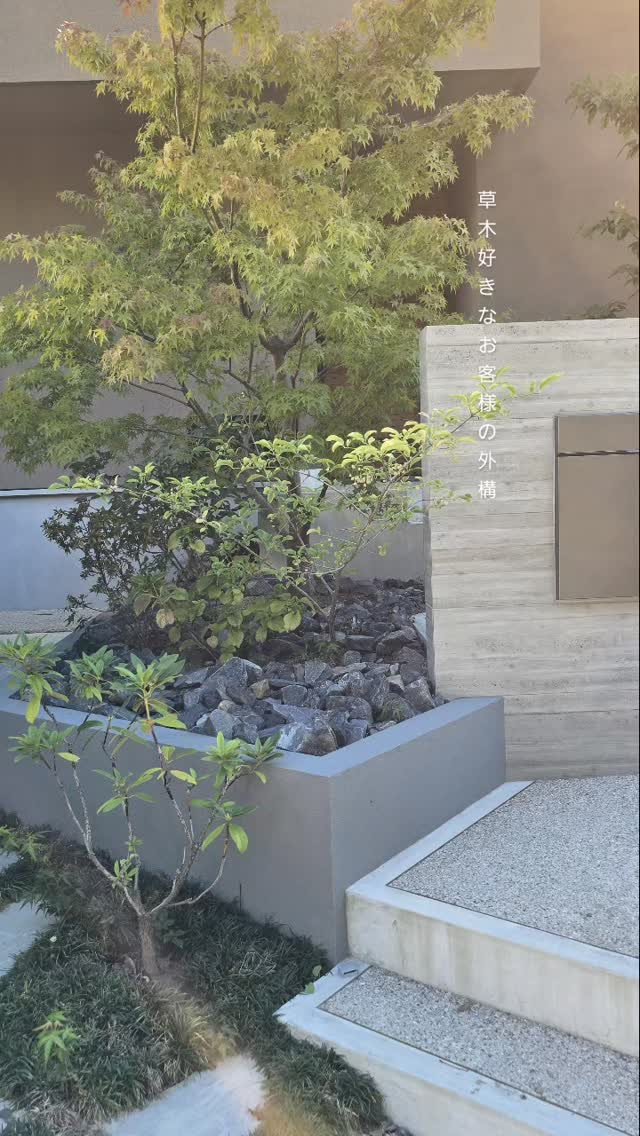 暑い夏を乗りきり、