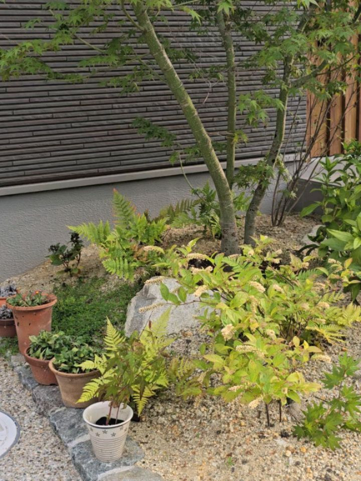 ちょっと渋い。