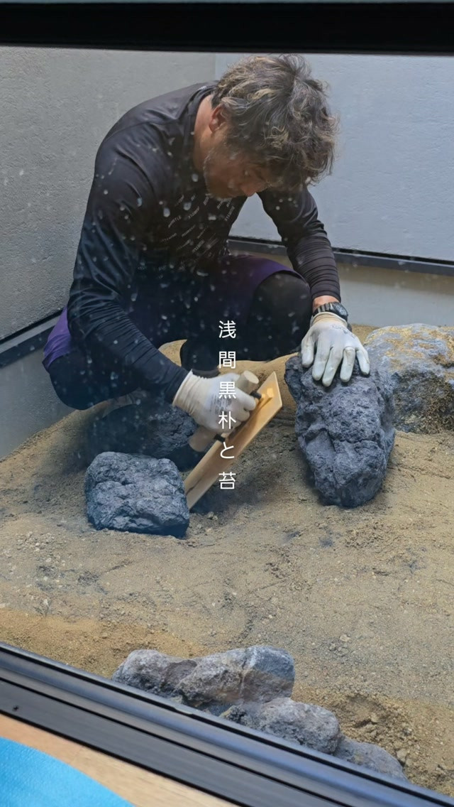 中庭で試行錯誤。