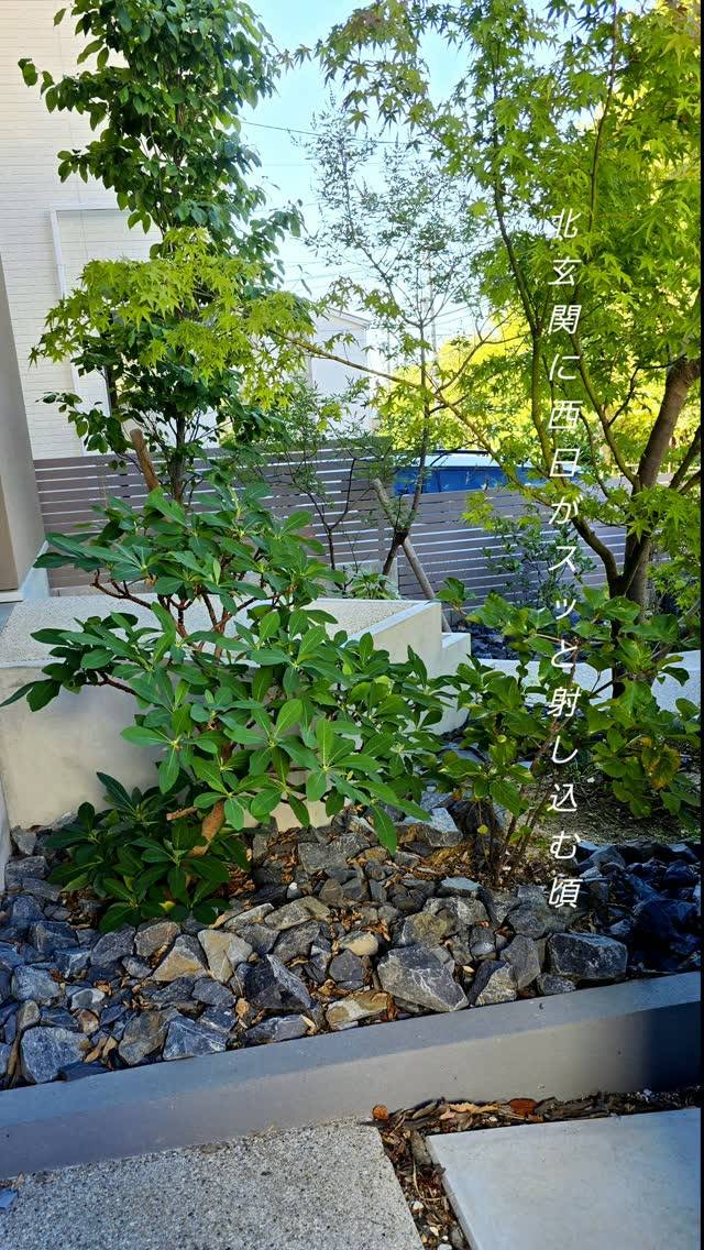 北玄関に西日が射し込む夏の一時。